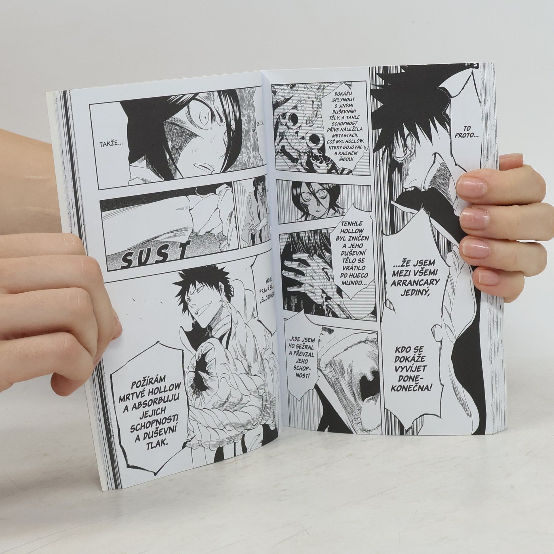 Tite Kubo Bleach 30: There is no heart without you