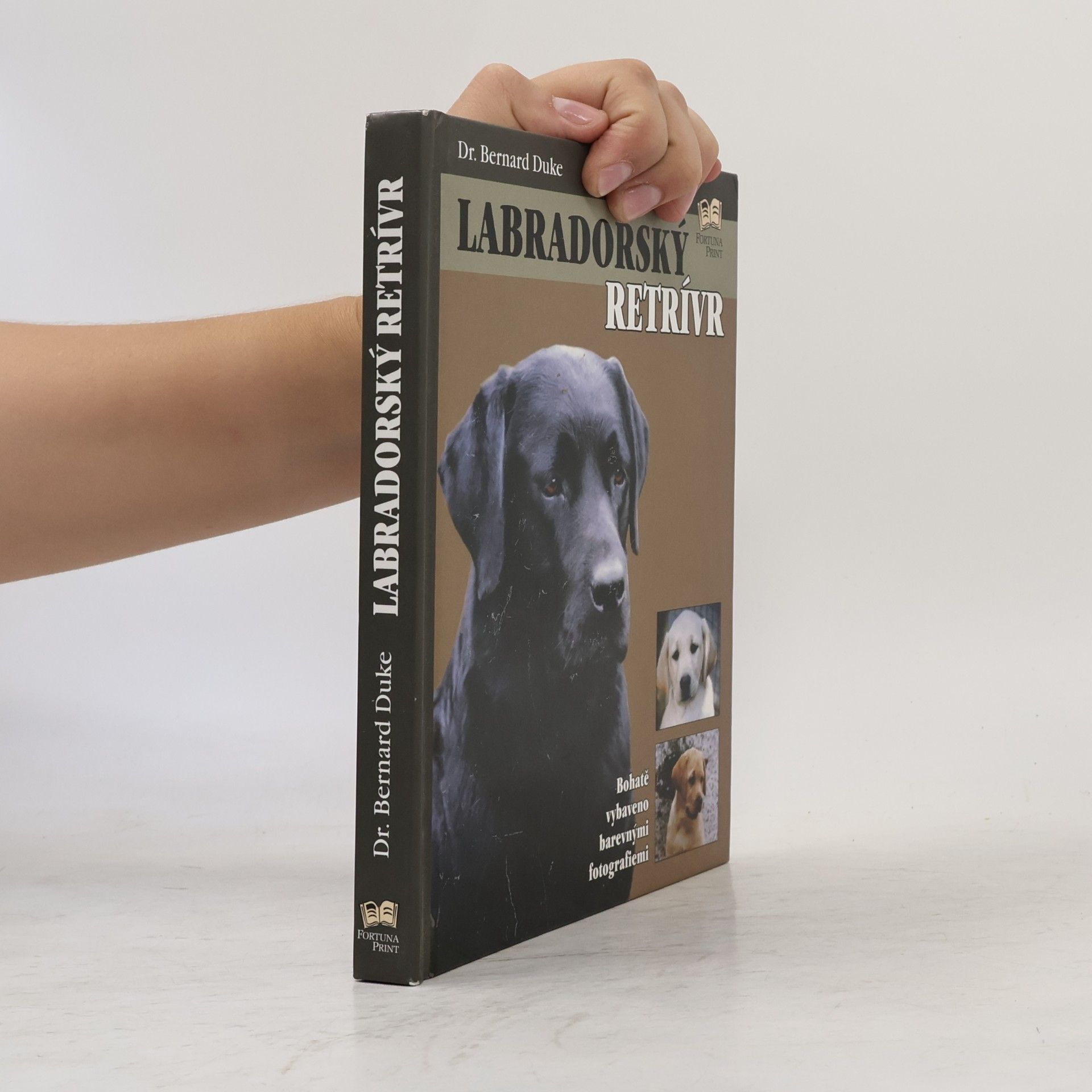 Bernard Duke Labradorský retrívr