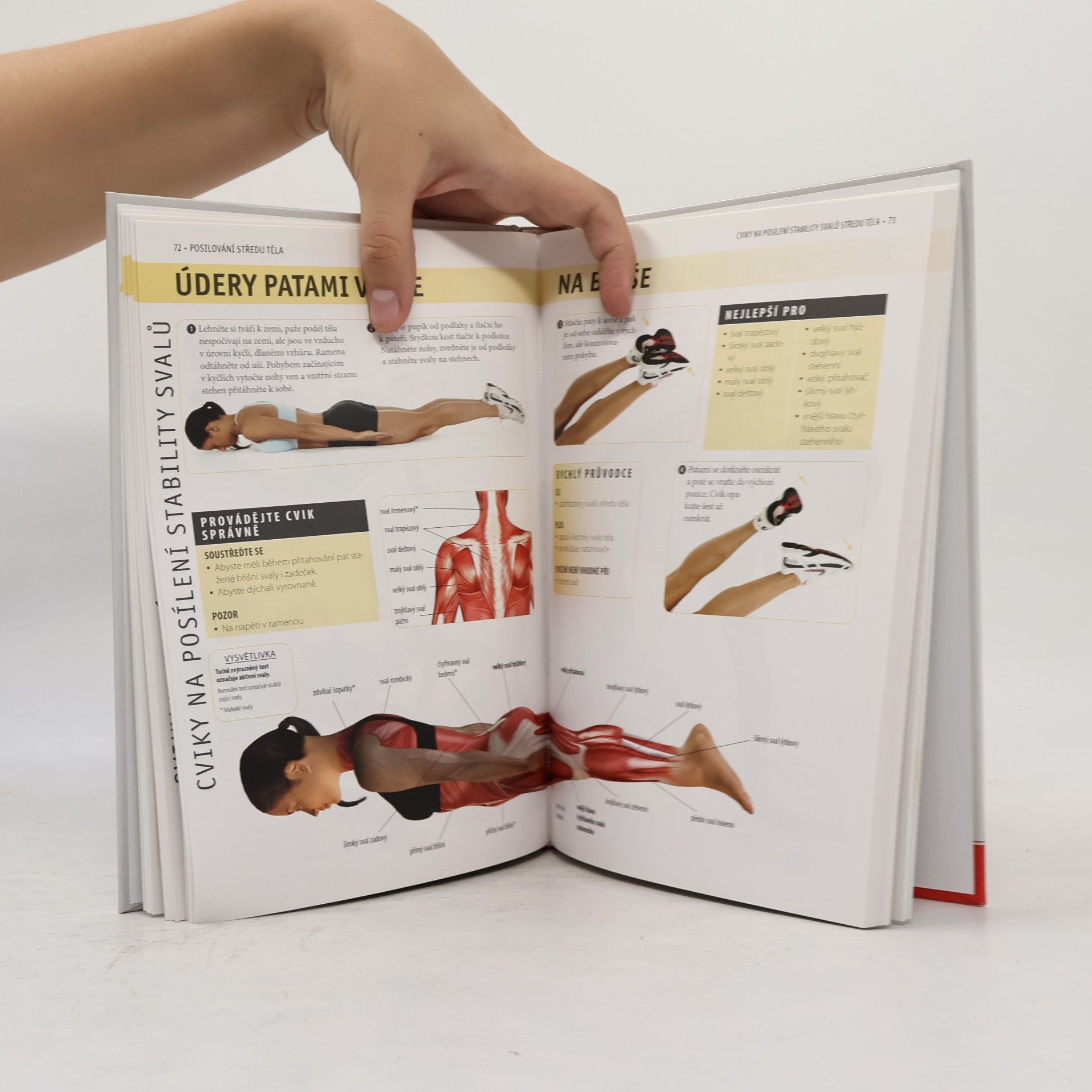 Abby Ellsworth Posilování středu těla - anatomie