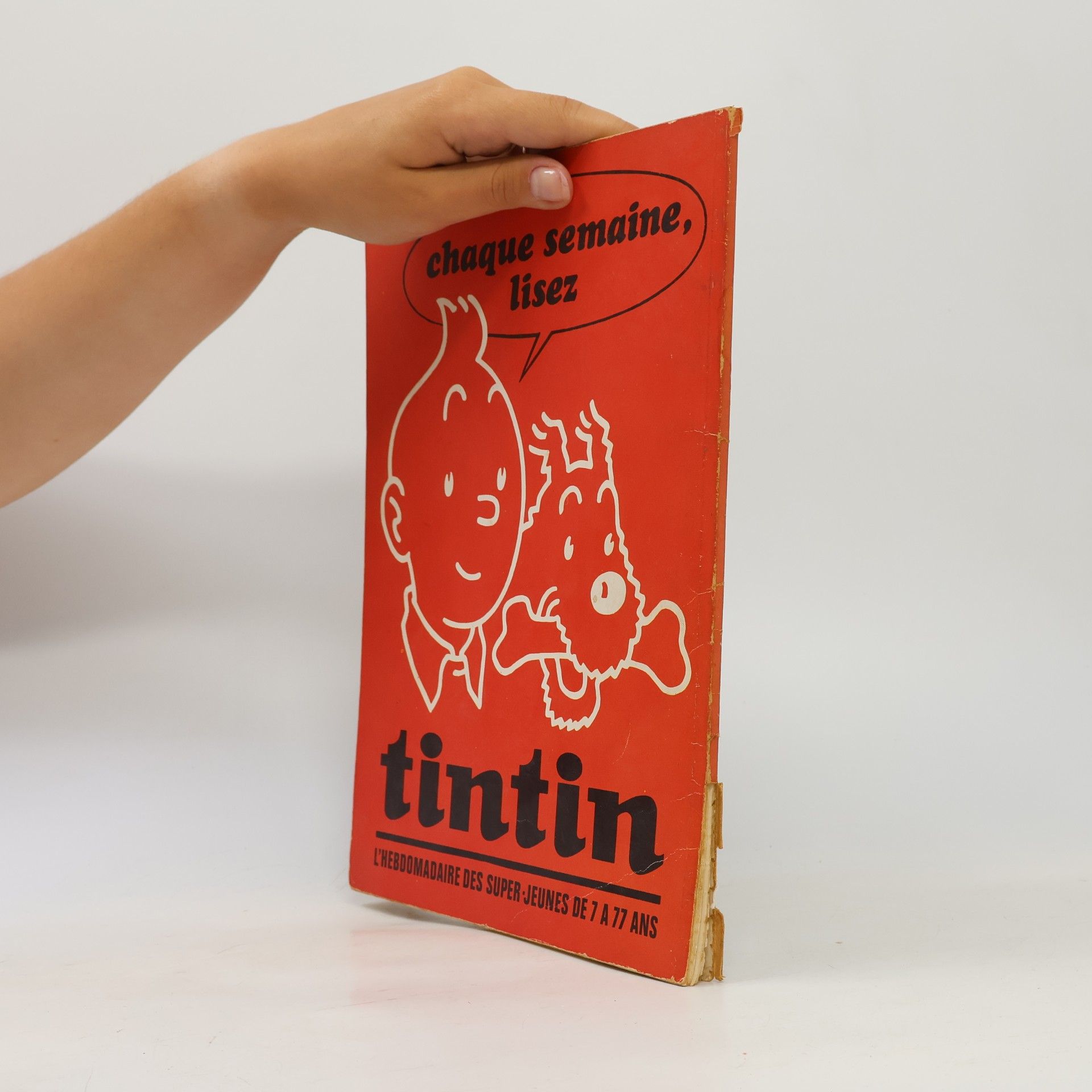 Dino Attanasio Viva Spaghetti 88
