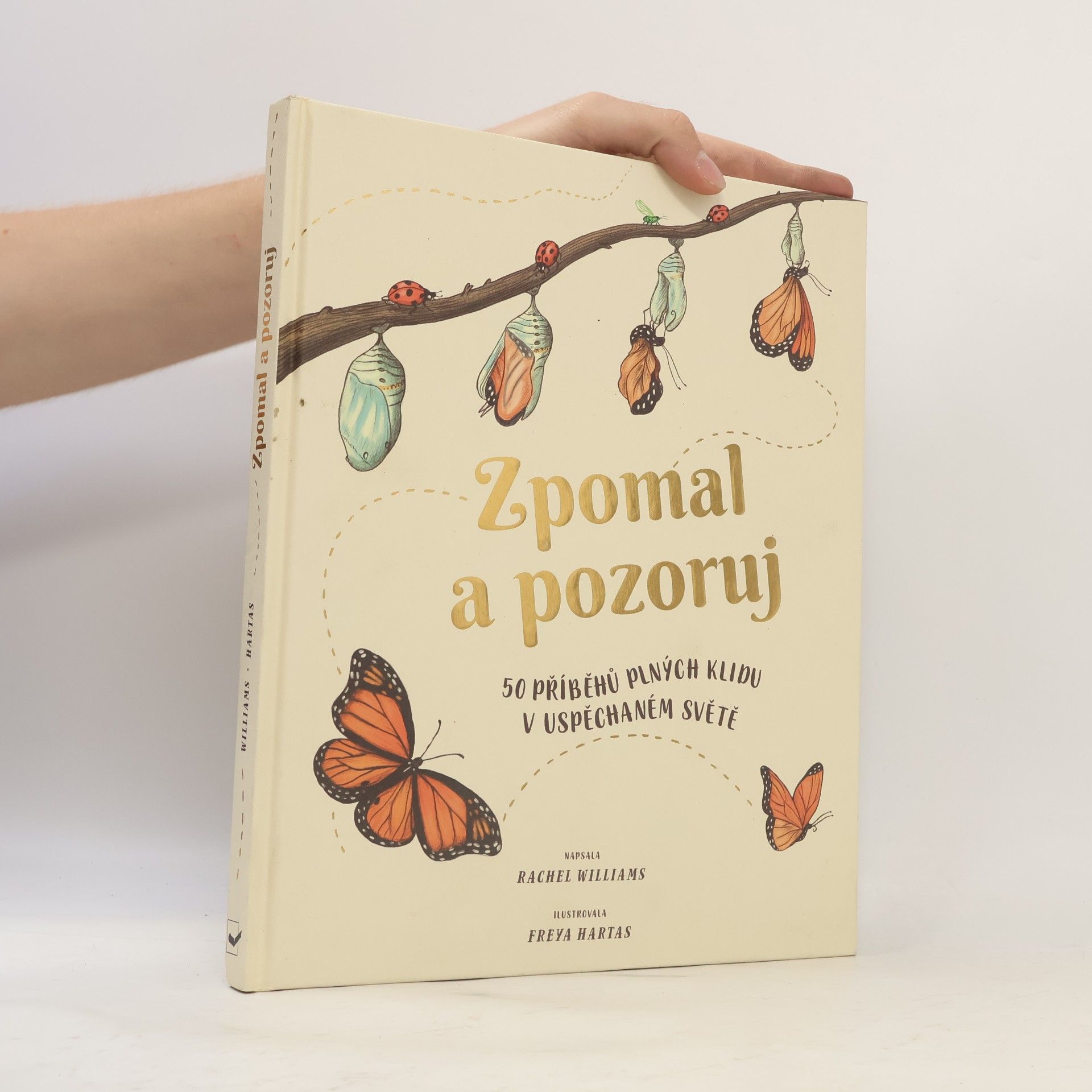 Rachel Williams Zpomal a pozoruj