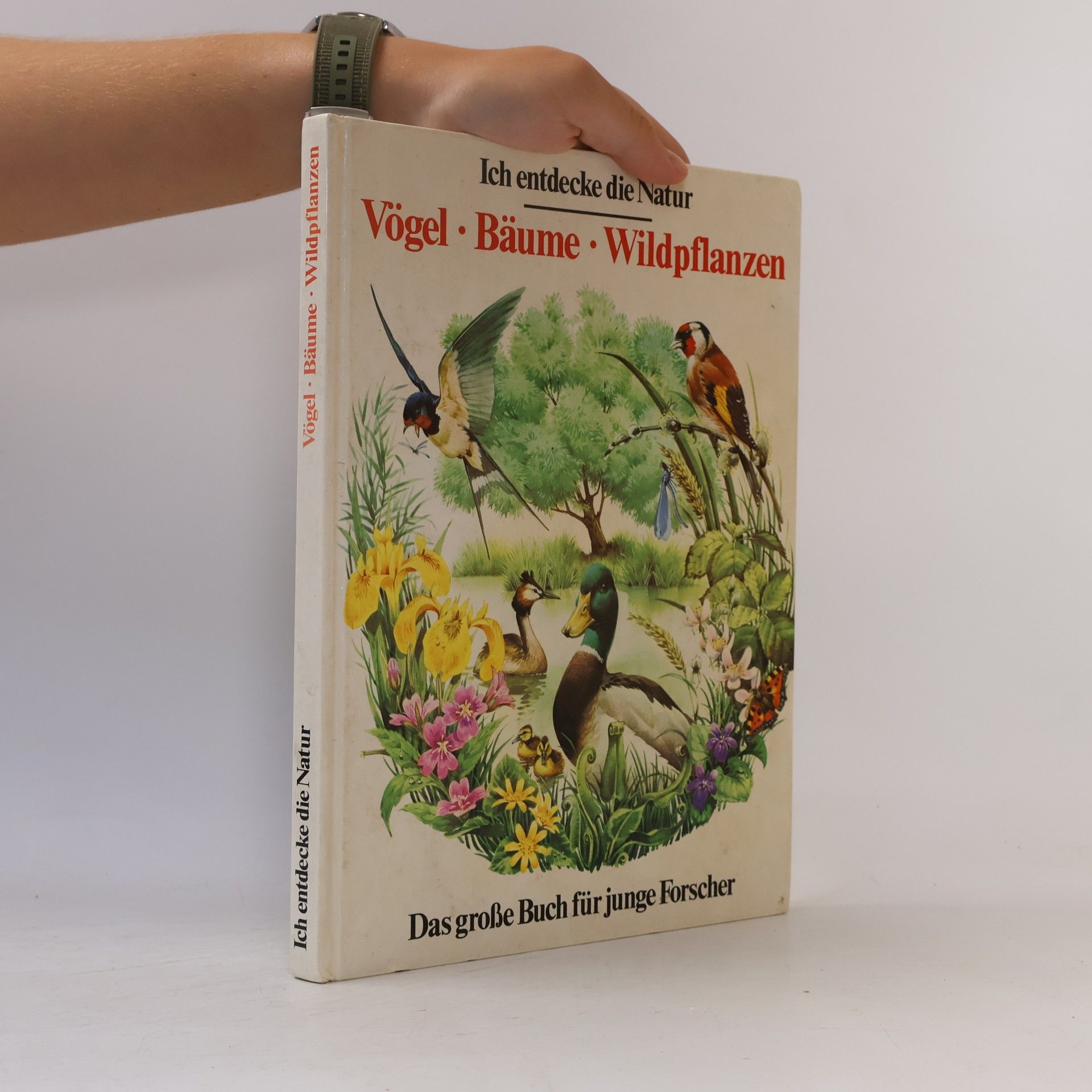 Autorenkollektiv Ich entdecke die Natur. Vögel, Bäume, Wildpflanzen