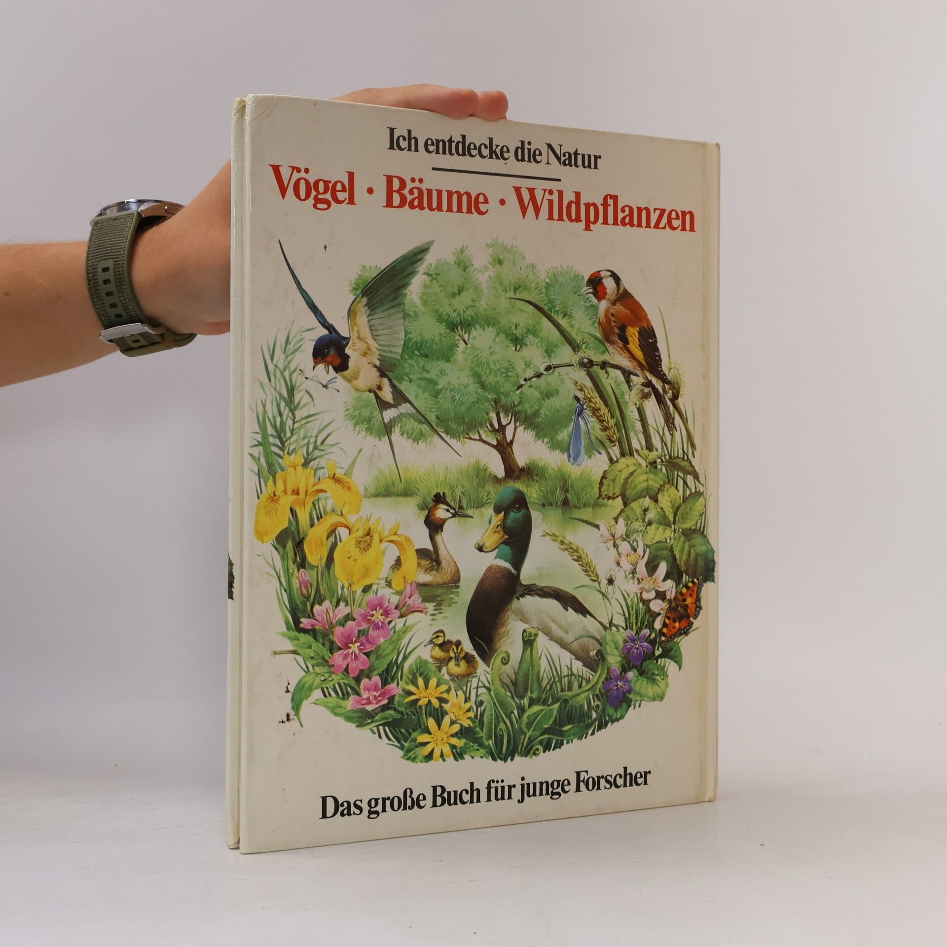 Various authors Ich entdecke die Natur. Vögel, Bäume, Wildpflanzen