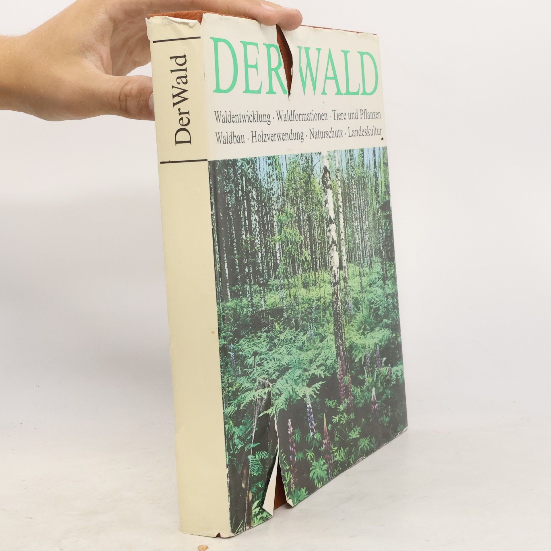 Martin Schretzenmayr Der Wald