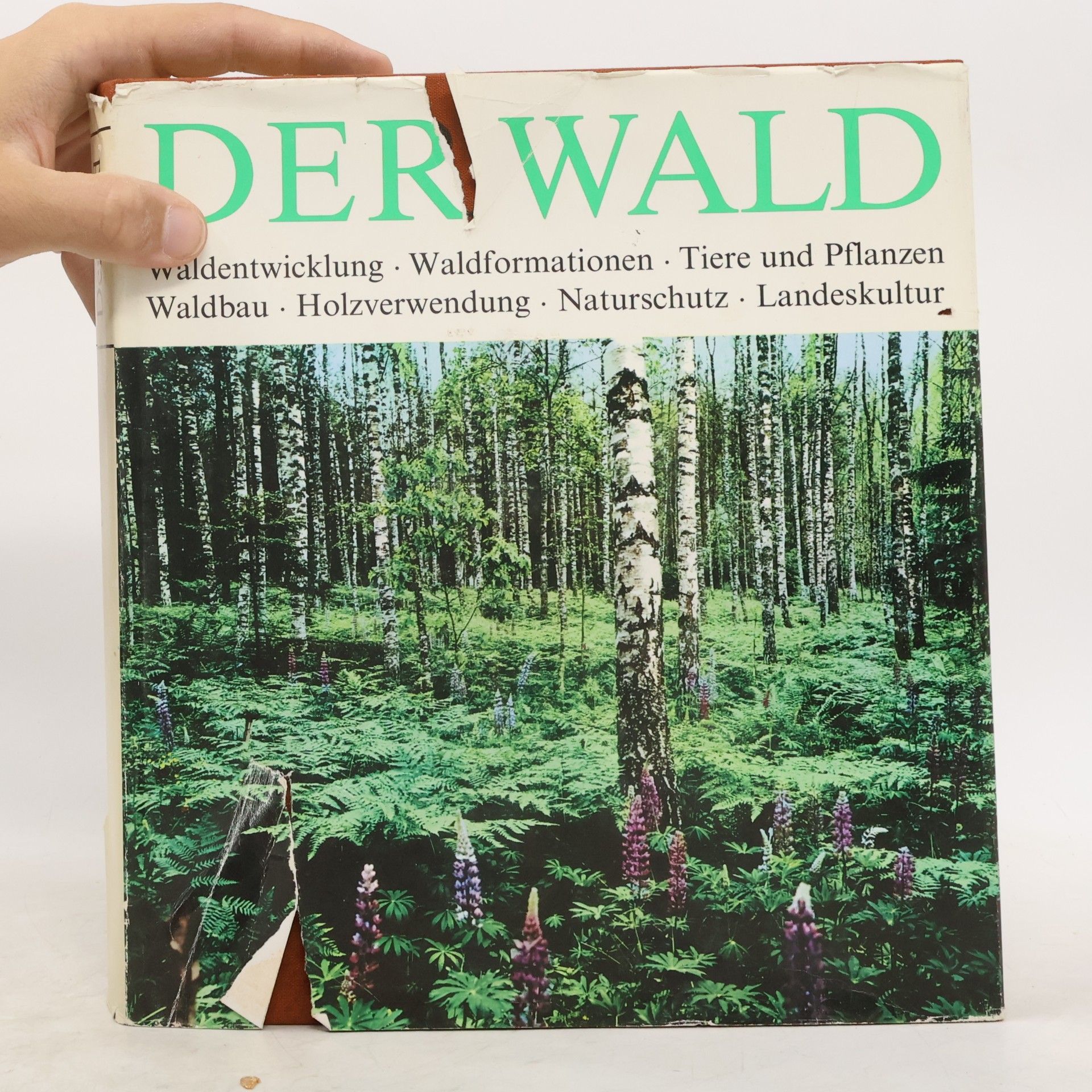 Martin Schretzenmayr Der Wald