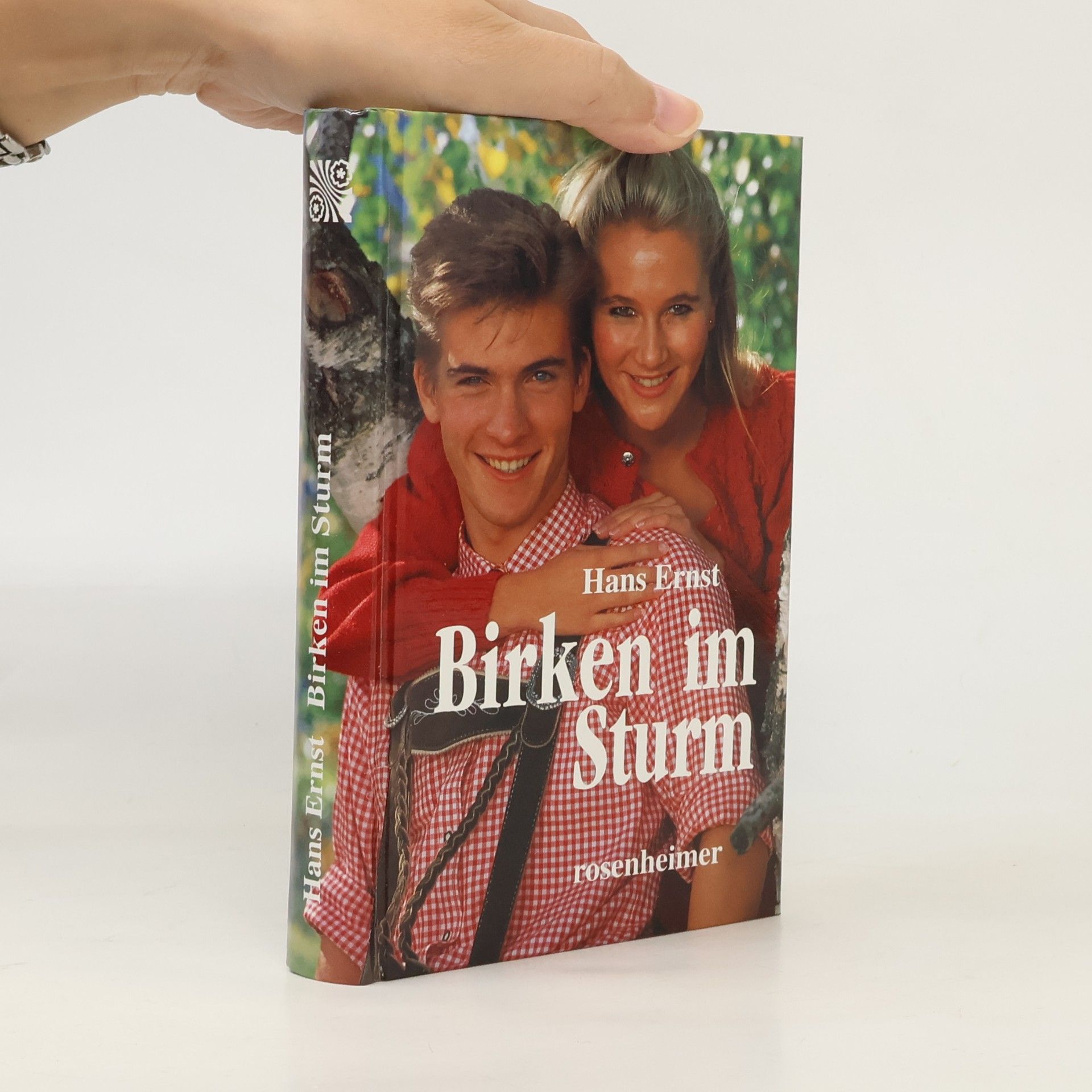 Birken im Sturm