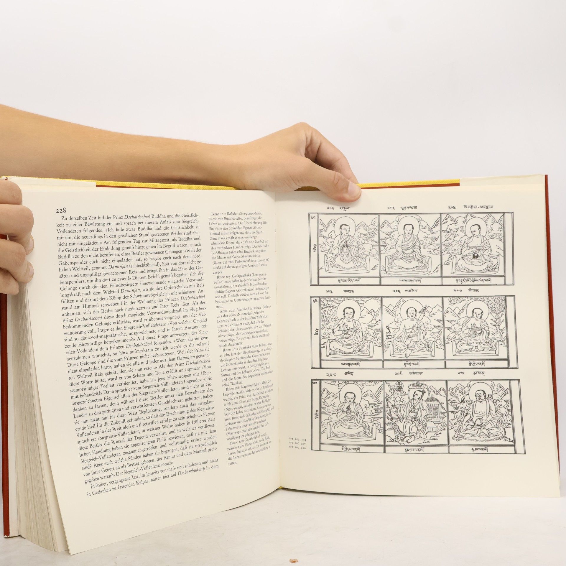 Gustav Kiepenheuer Verlag Der Weise und der Tor: Buddhistische Legenden