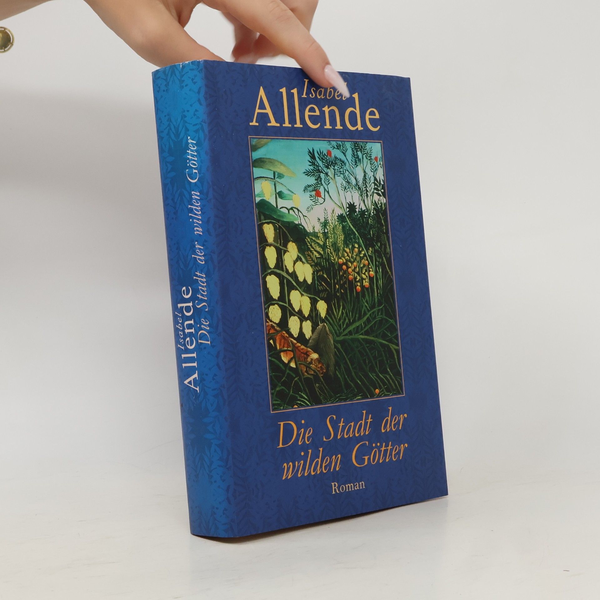 Isabel Allende Die Stadt der wilden Götter