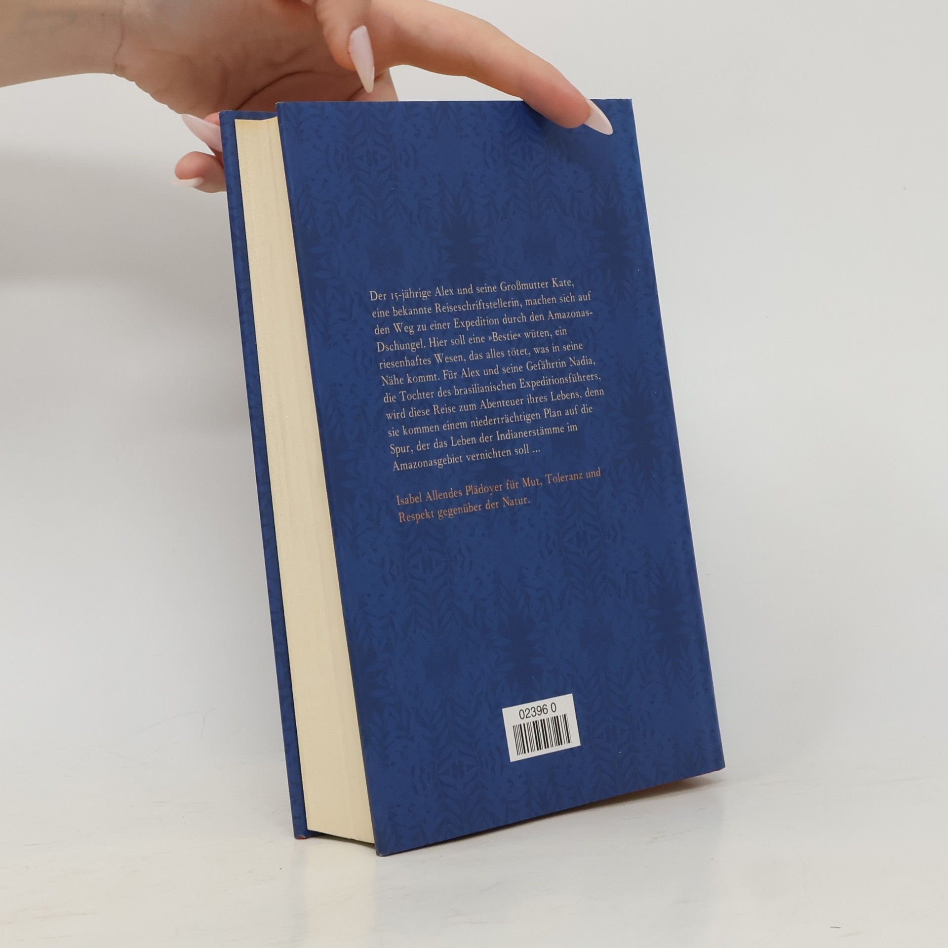 Isabel Allende Die Stadt der wilden Götter