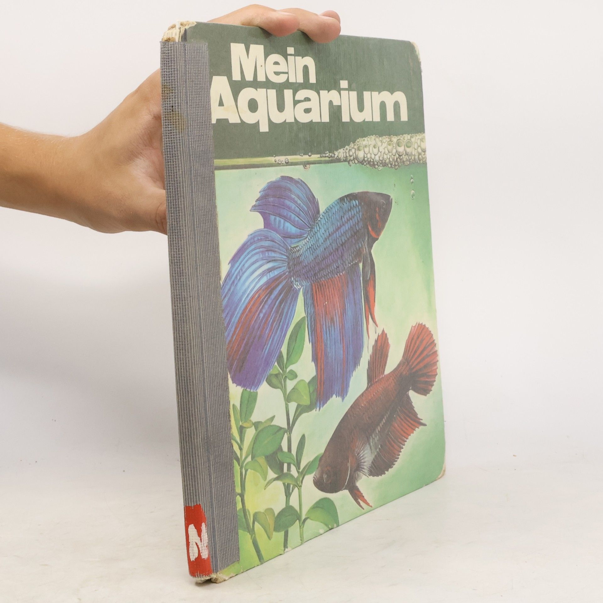 Autorenkollektiv Mein Aquarium