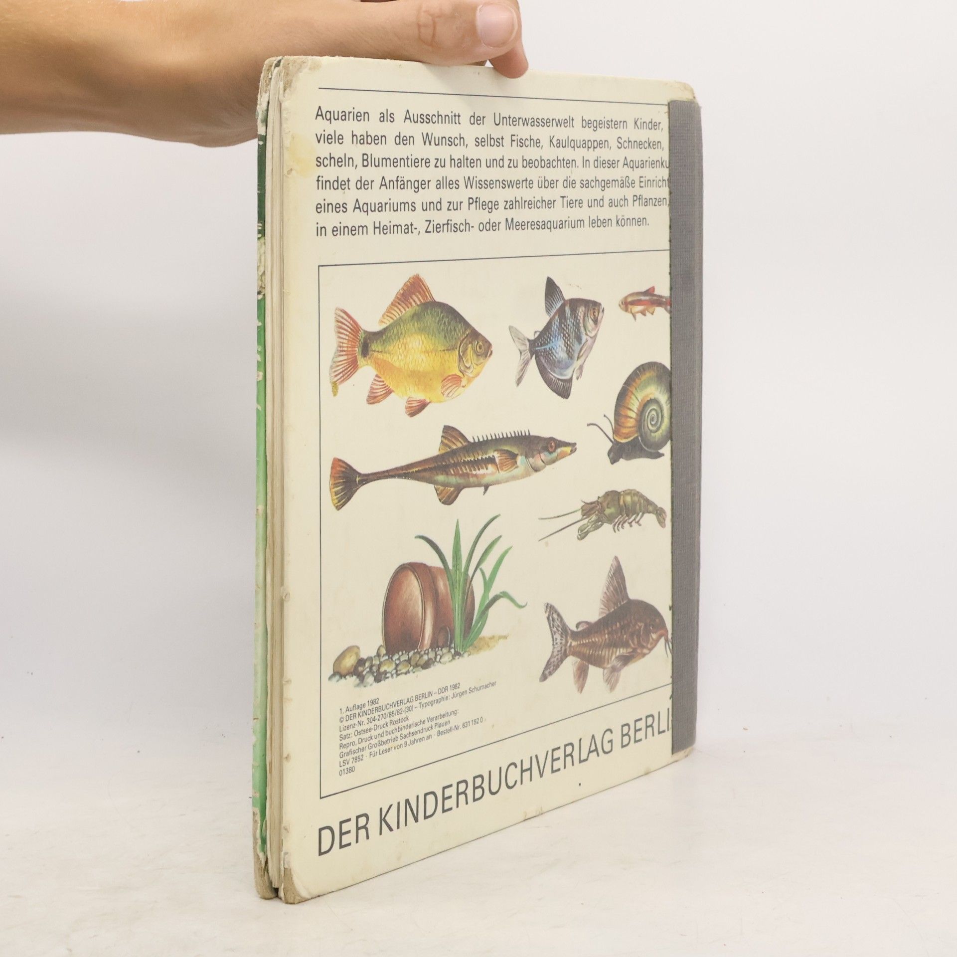 Autorenkollektiv Mein Aquarium