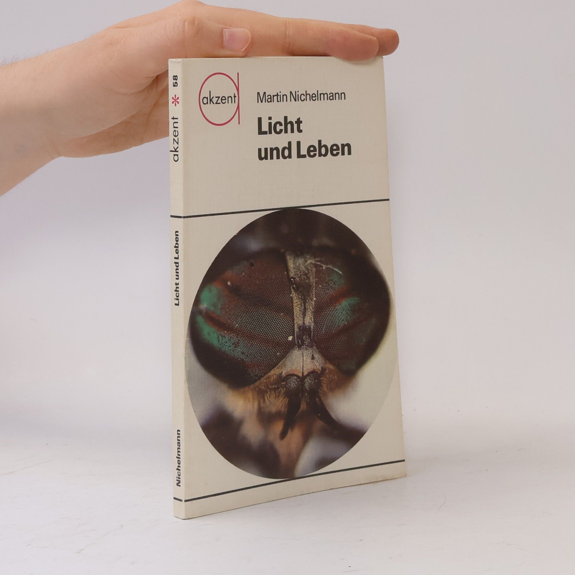 Martin Nichelmann Licht und Leben