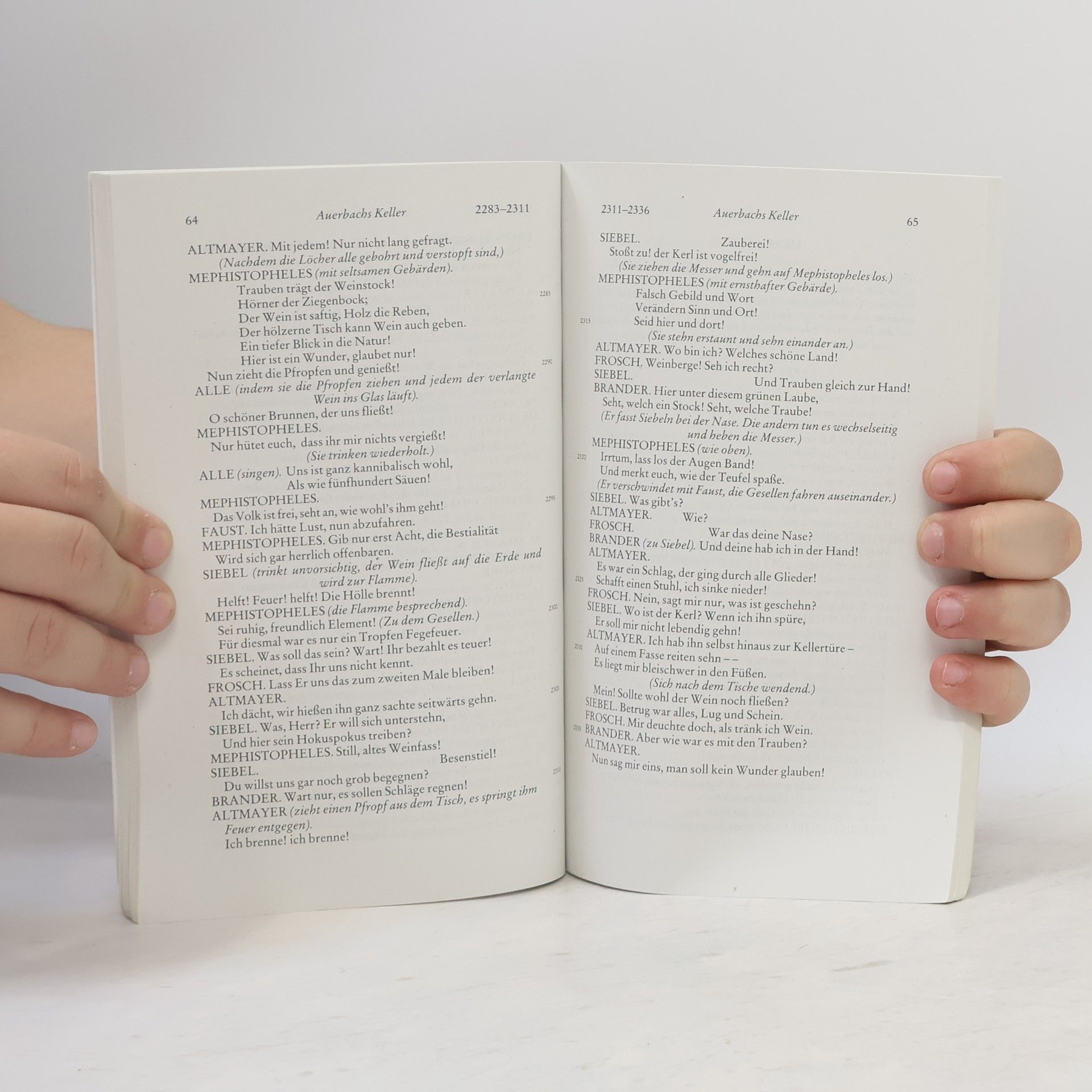 Johann Wolfgang von Goethe Faust (Erster Teil)