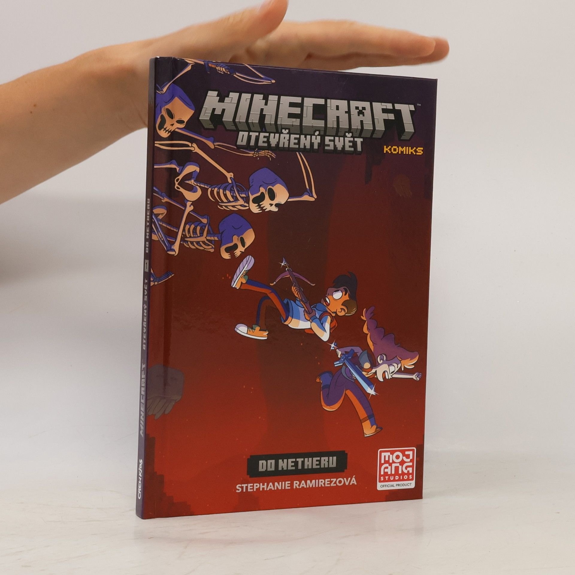 Stephanie Ramirez Minecraft. Otevřený svět