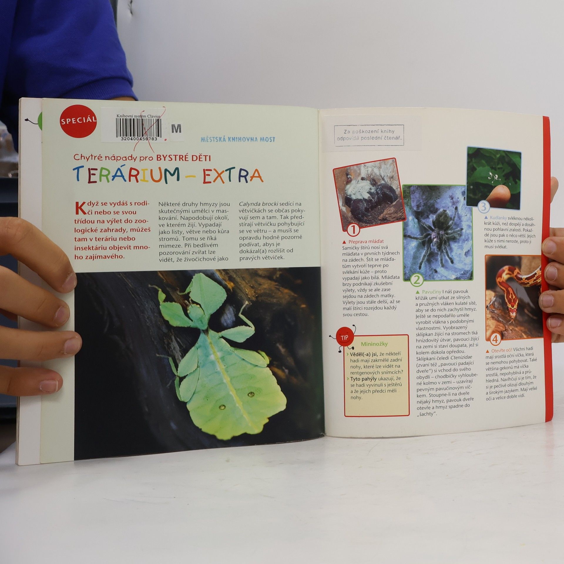 Astrid Falk Terarijní zvířata - exotická, vzrušující, tajuplná