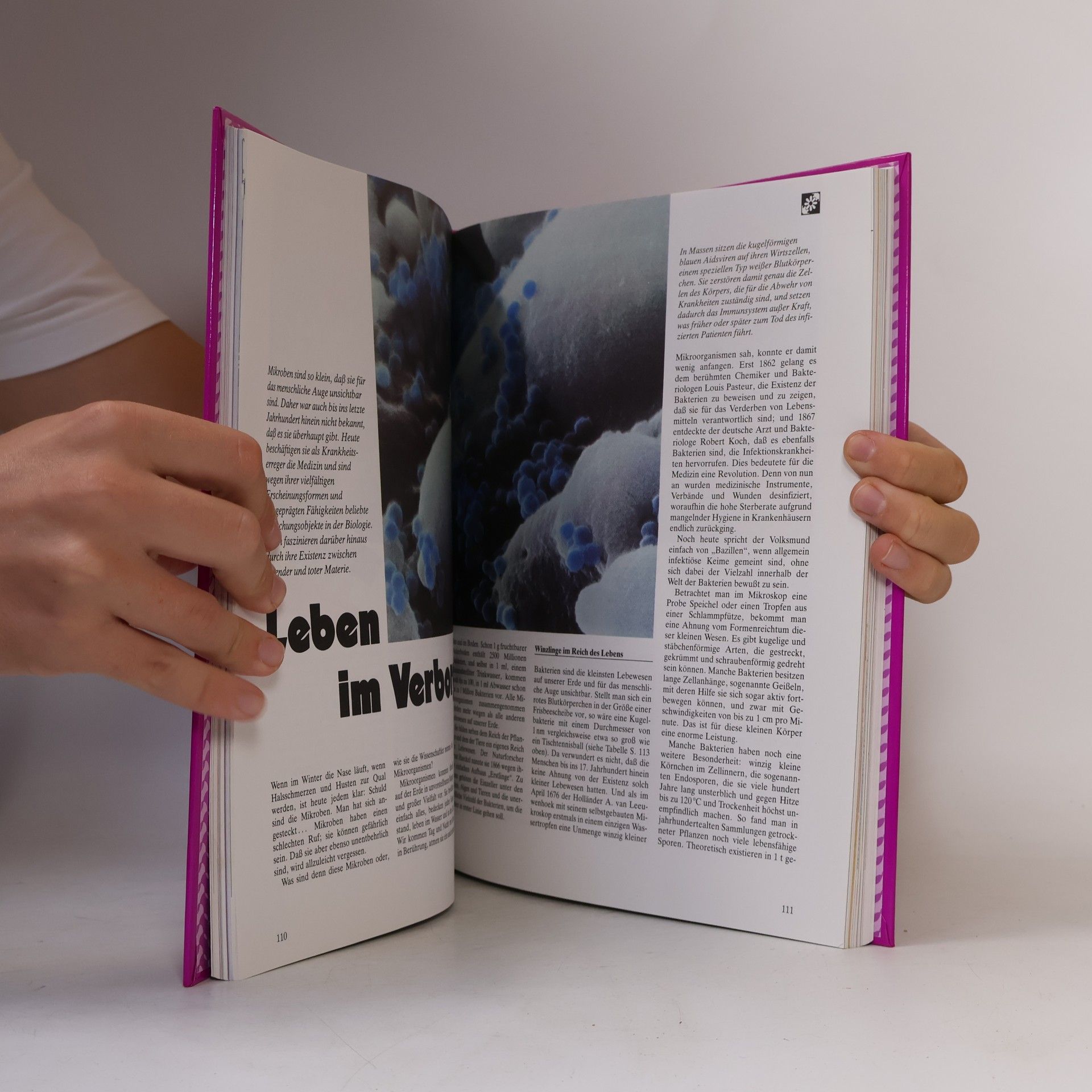 Collectif d'auteurs Das große Jugendbuch