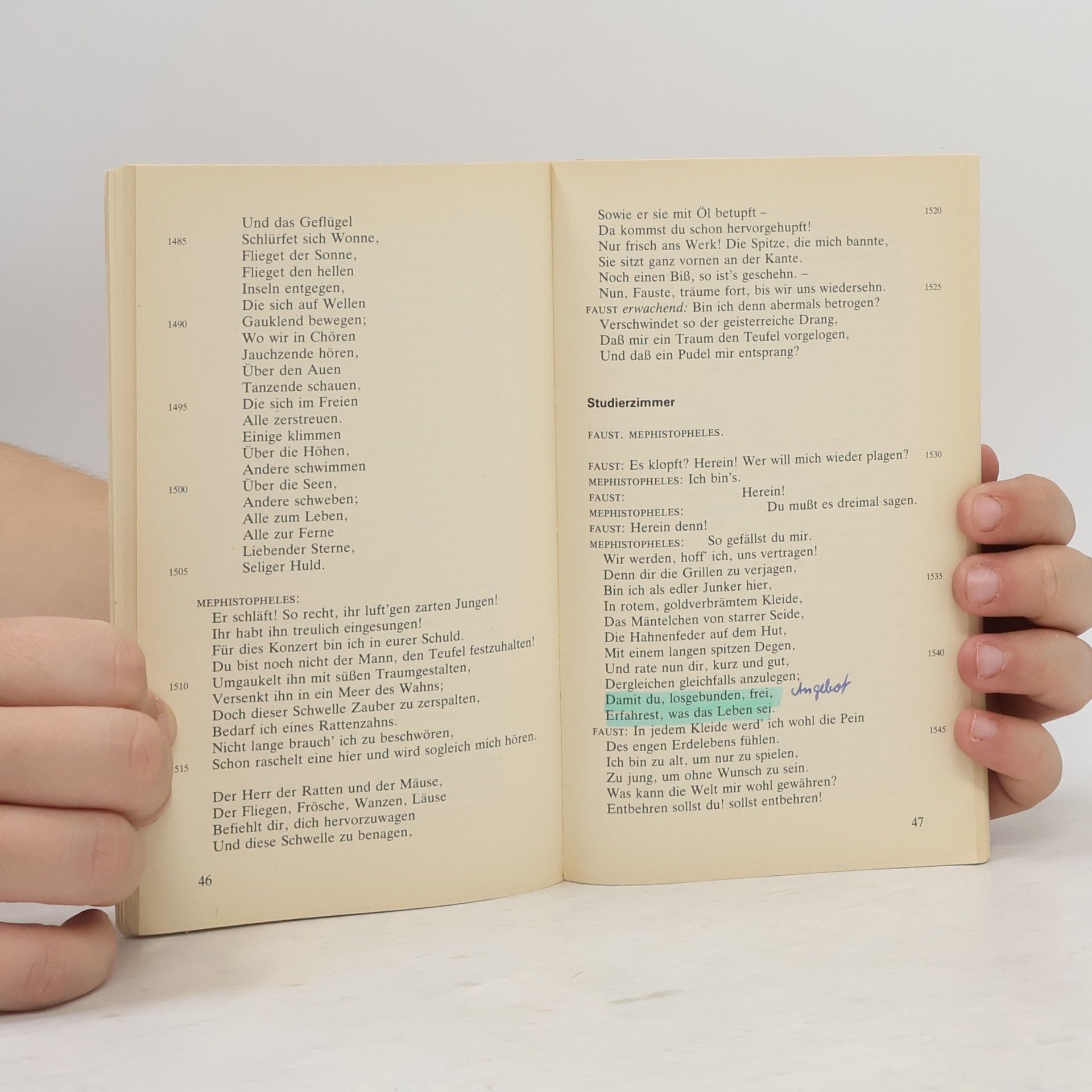 Johann Wolfgang von Goethe Faust 1