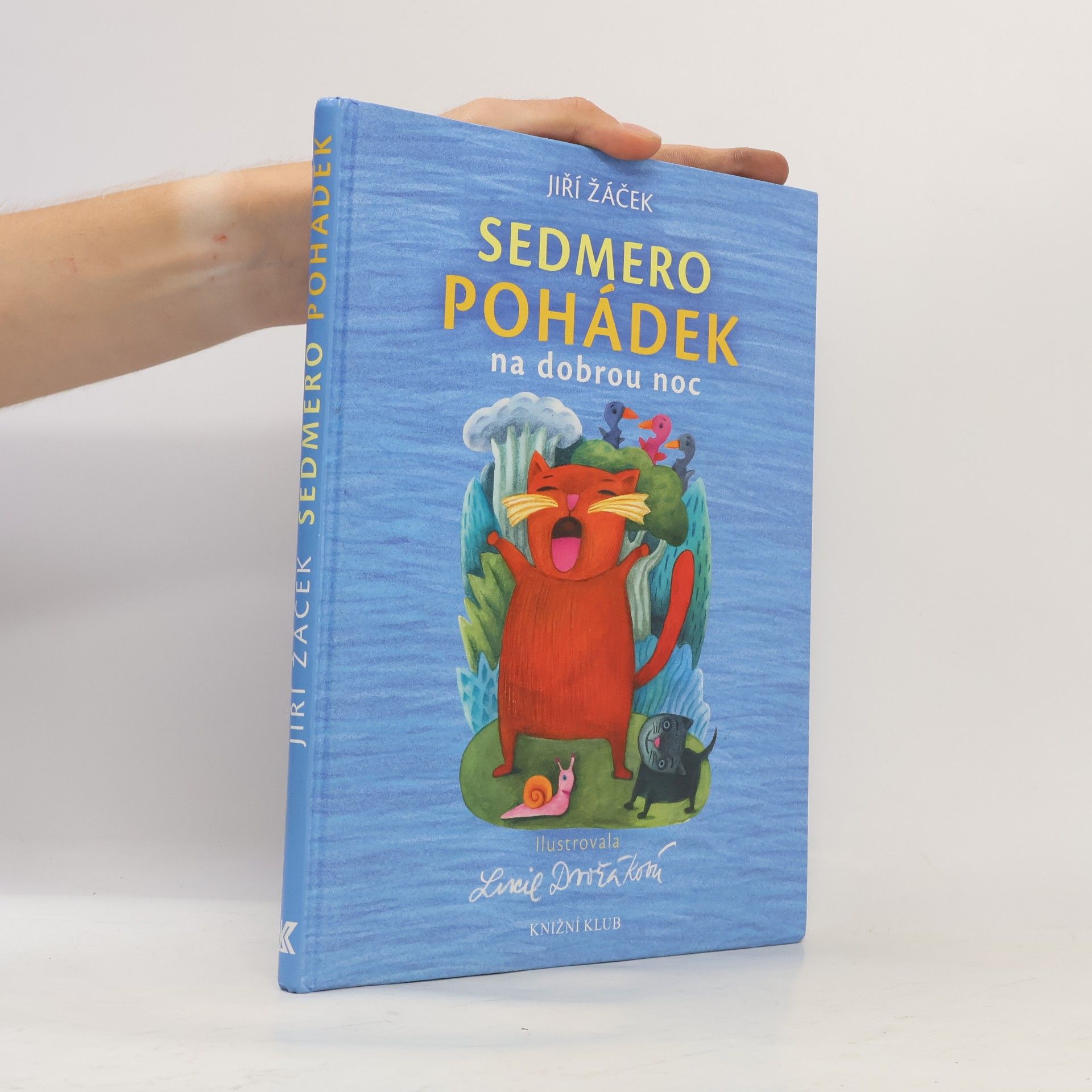 Lucie Dvořáková Sedmero pohádek na dobrou noc