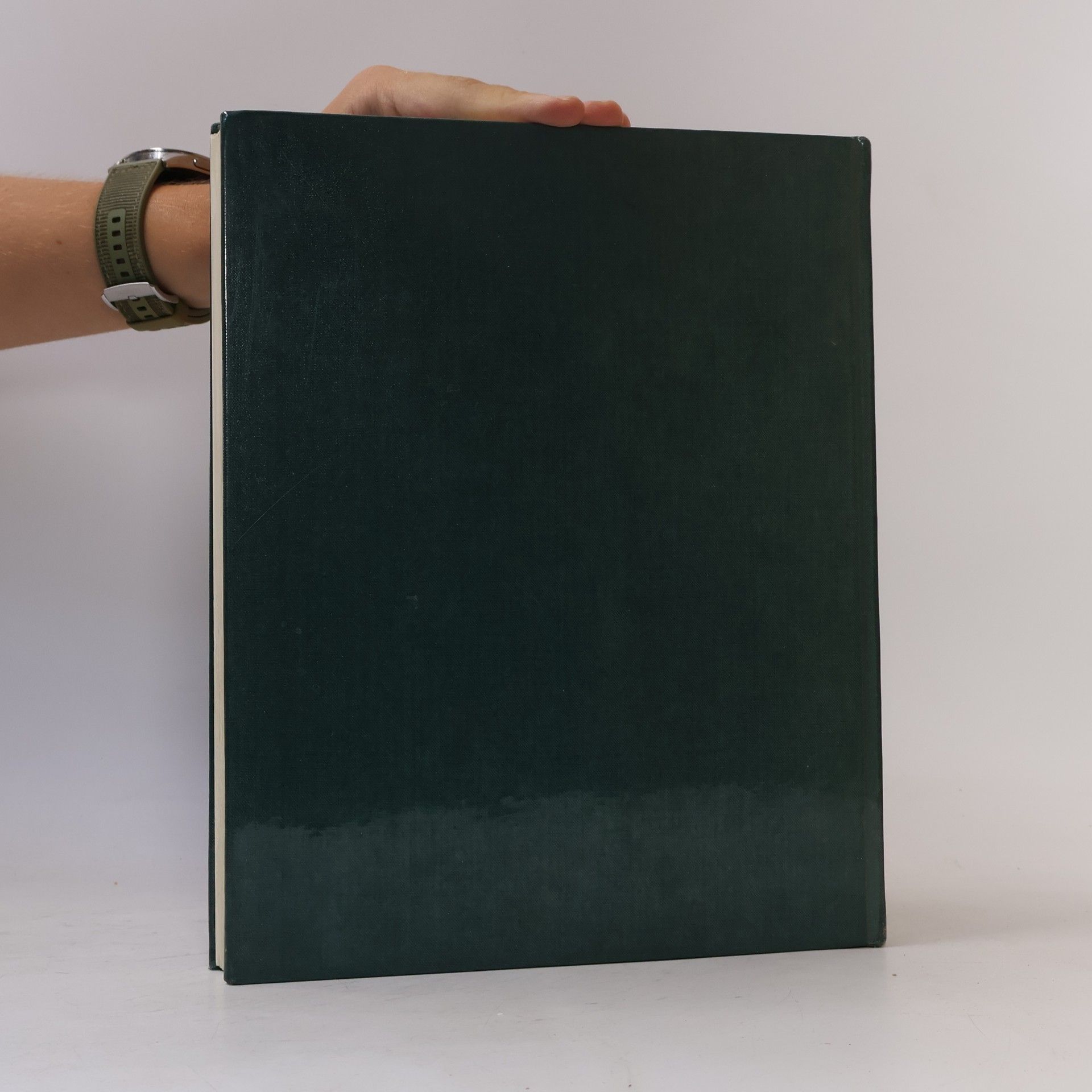 Tomi Ungerer Das große Liederbuch
