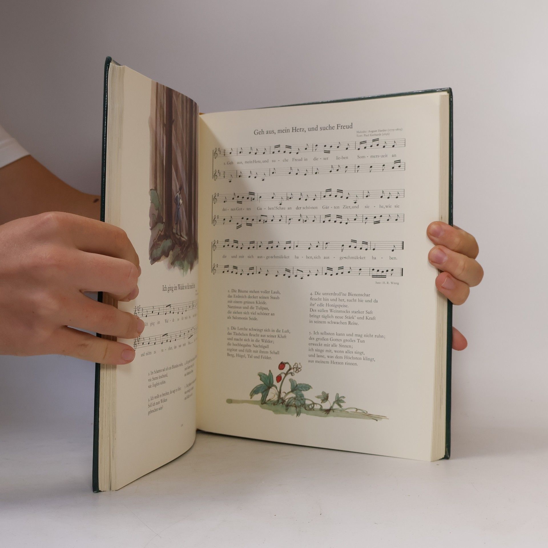 Tomi Ungerer Das große Liederbuch
