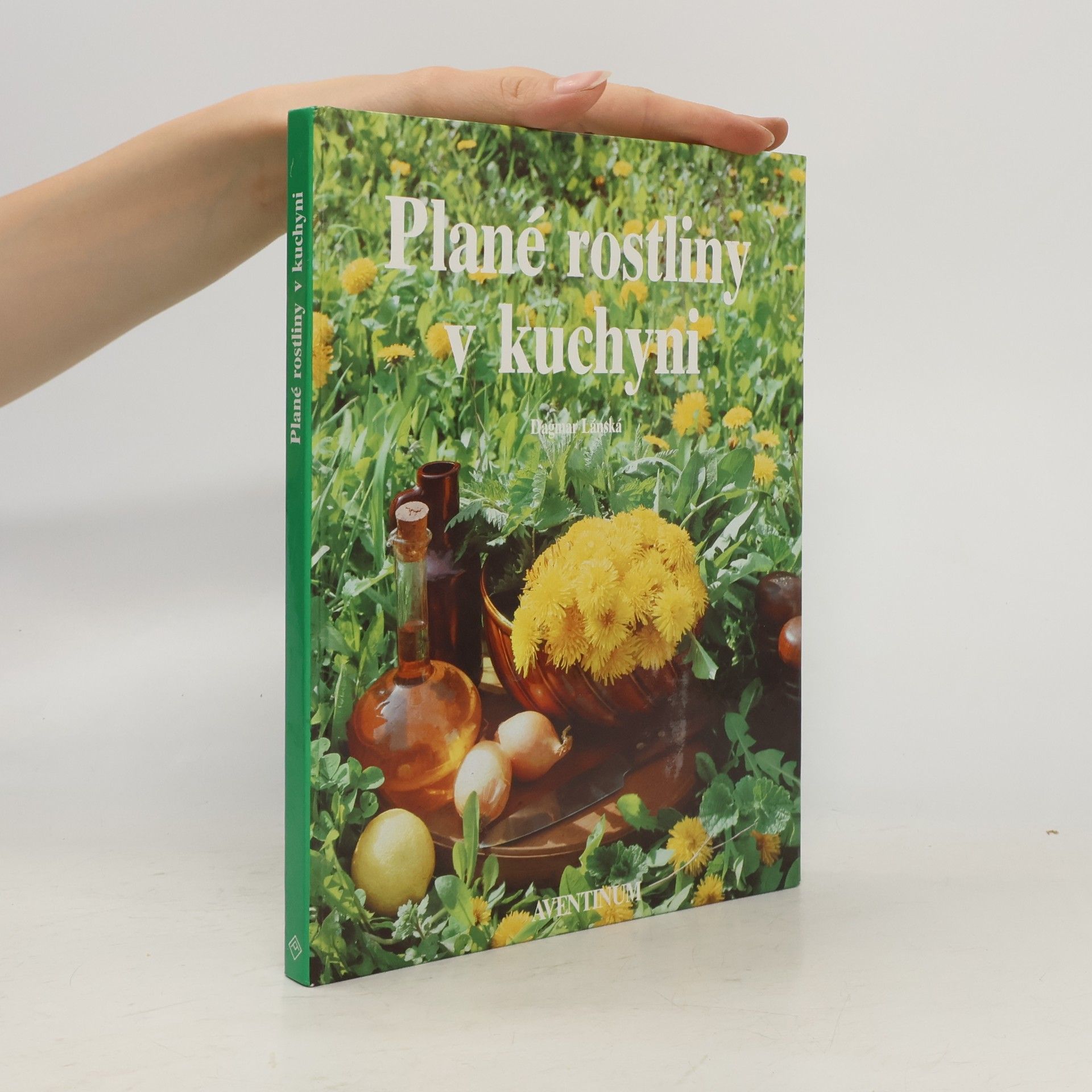 Dagmar Lánská Plané rostliny v kuchyni