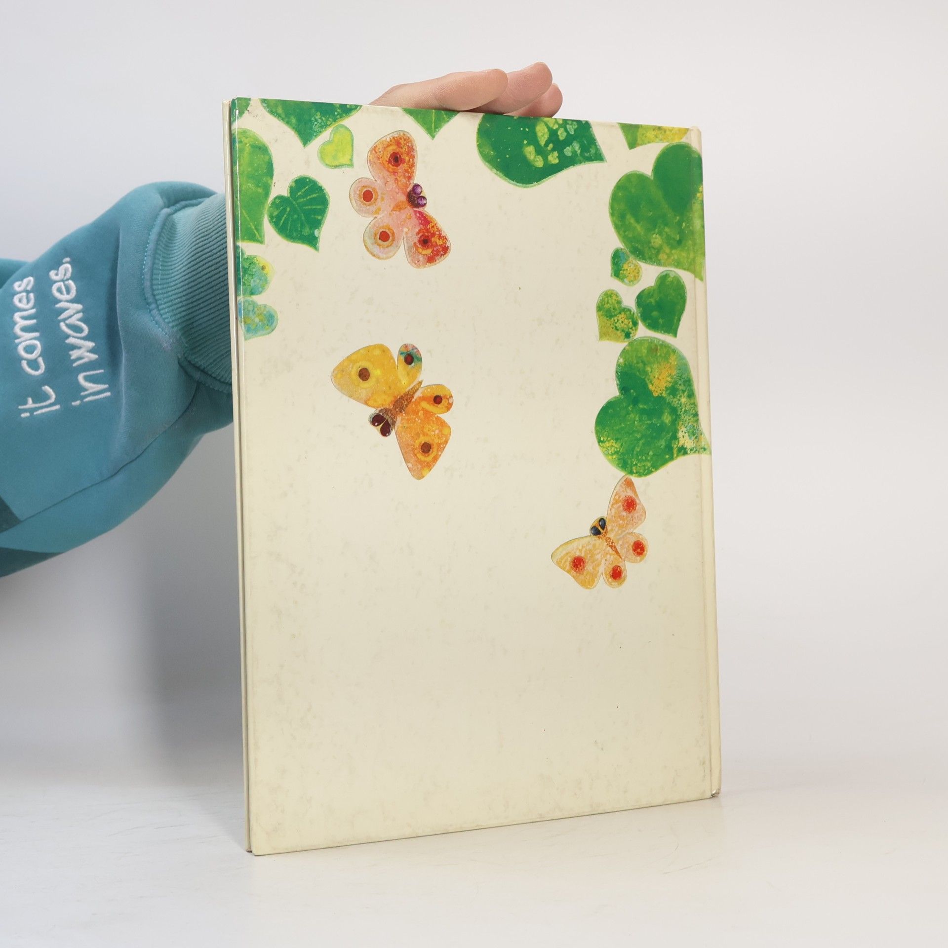 Jan Kudláček Das Mädchen mit dem Schmetterling
