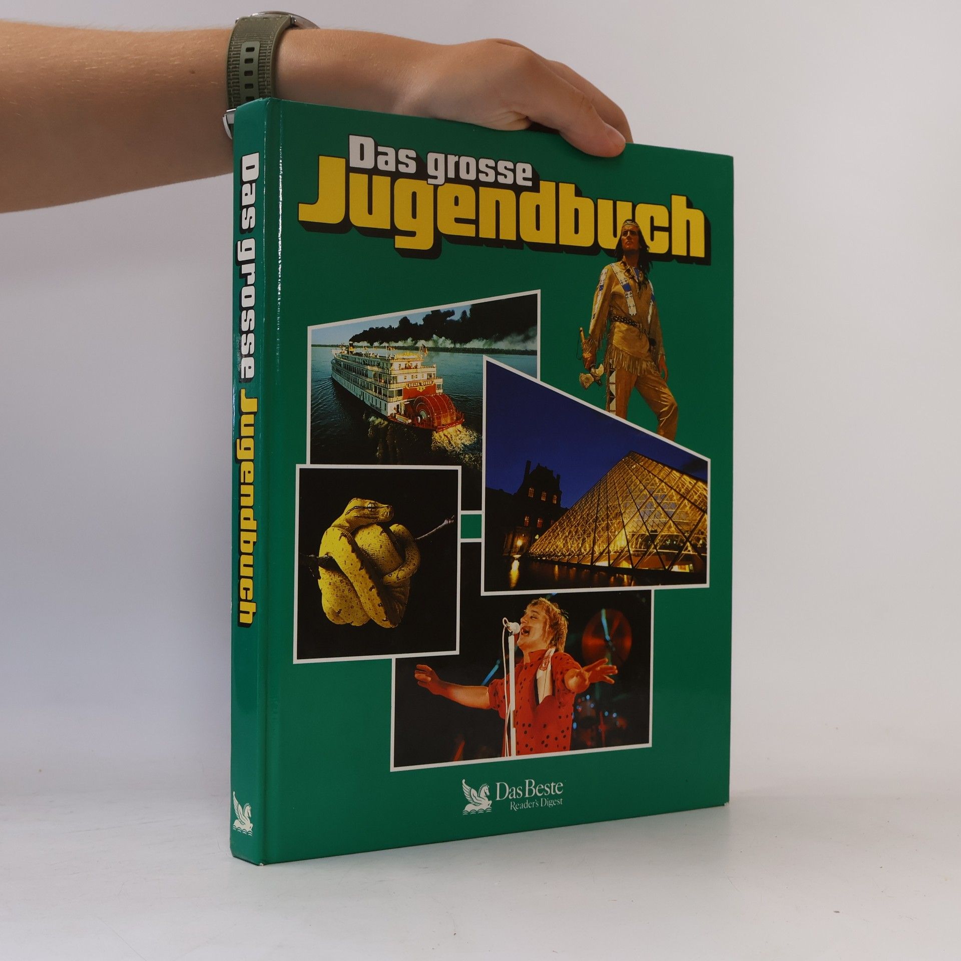 Autorenkollektiv Das grosse Jugendbuch