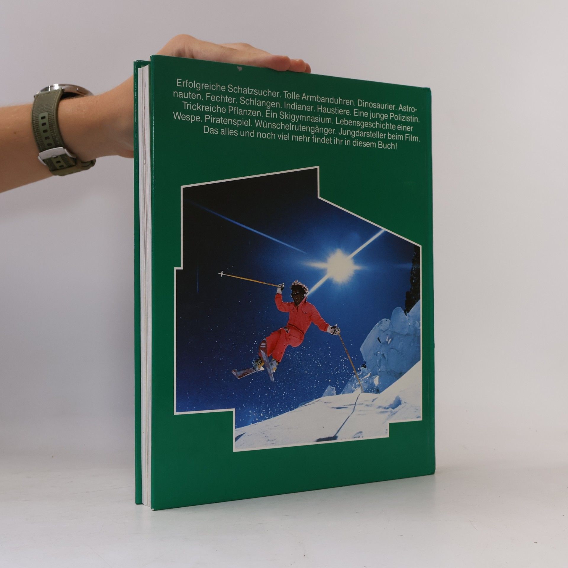 Kolektiv autorů Das grosse Jugendbuch