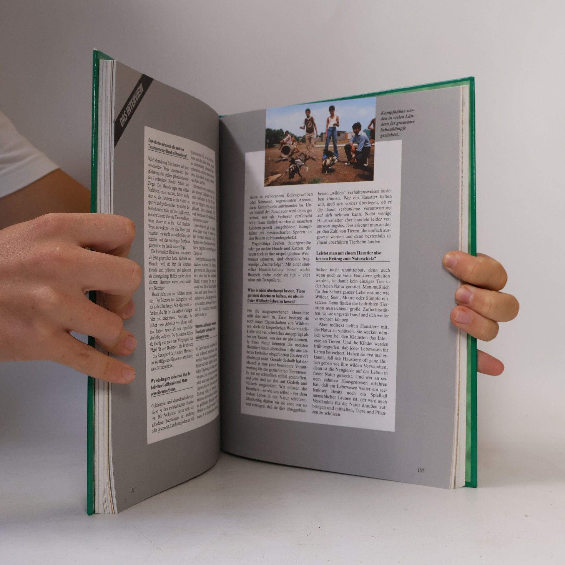 Kolektiv autorů Das grosse Jugendbuch