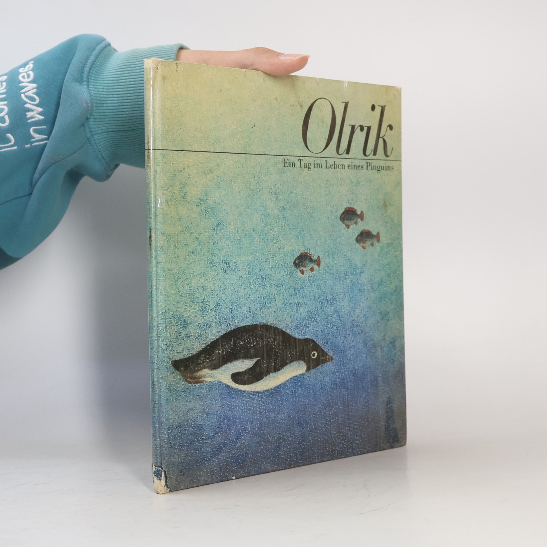 Autorenkollektiv Olrik. Ein Tag im Leben eines Pinguins