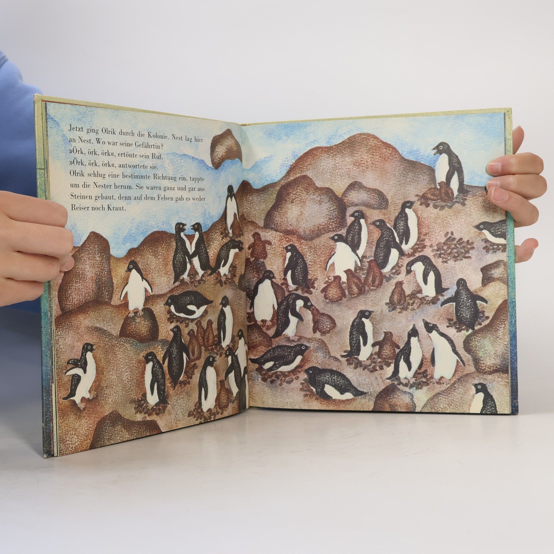 Kolektiv autorů Olrik. Ein Tag im Leben eines Pinguins