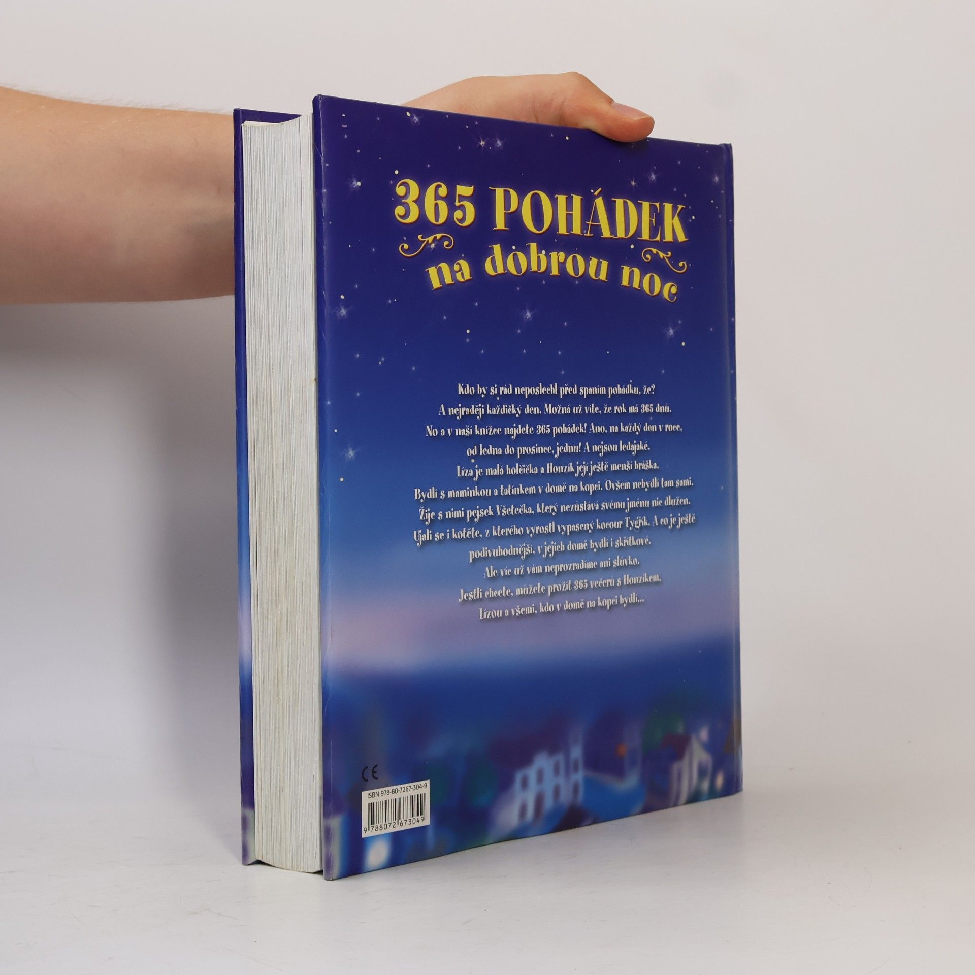 Autorenkollektiv 365 pohádek na dobrou noc