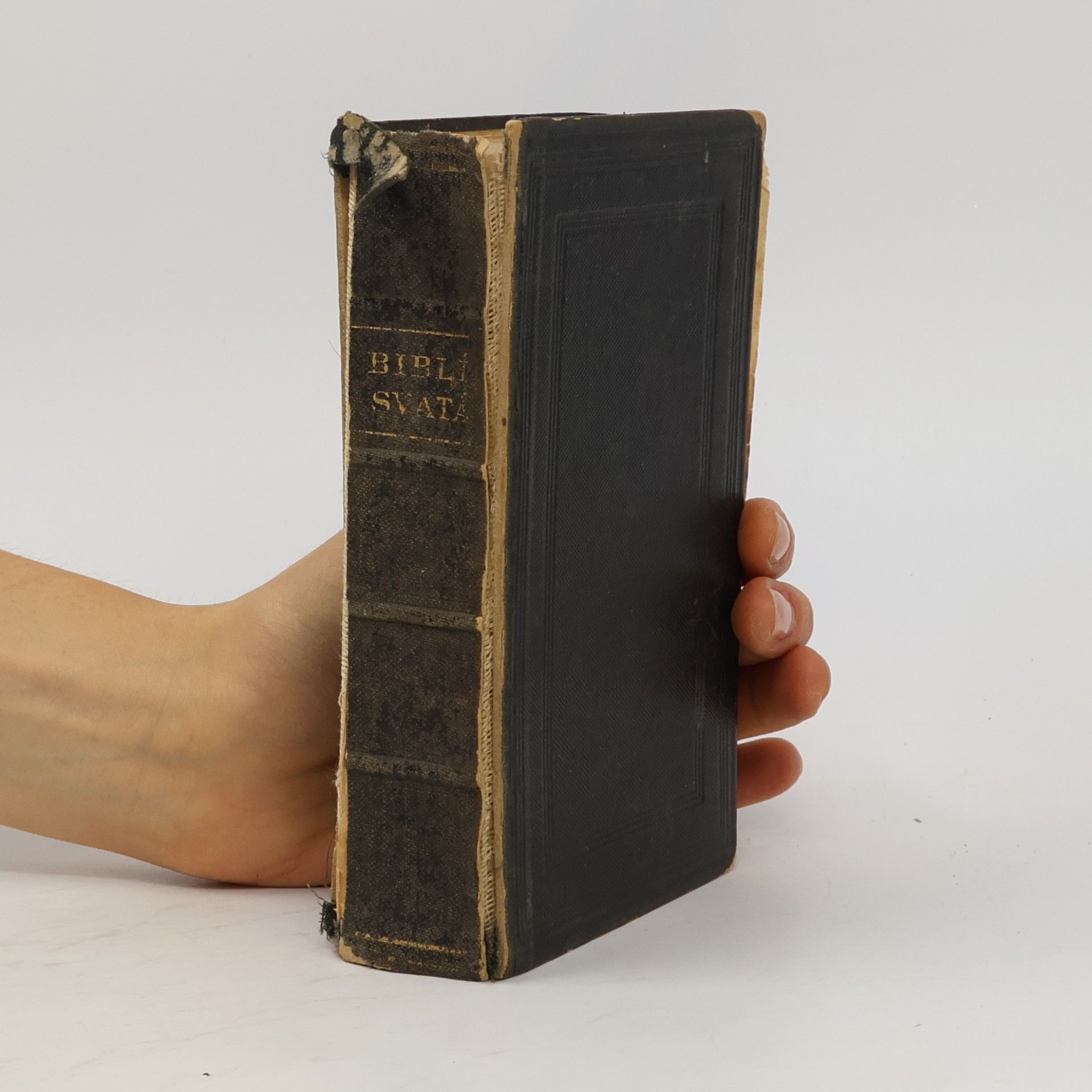 Kolektiv autorů Biblí svatá aneb všecka svatá písma Starého i Nového zákona
