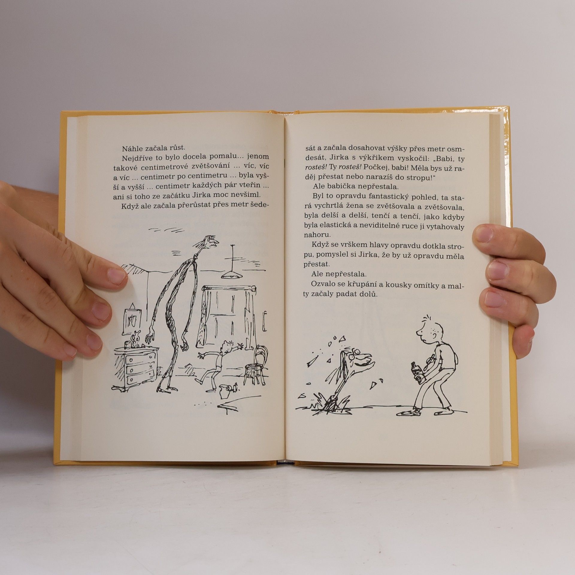 Roald Dahl Jirkova zázračná medicína