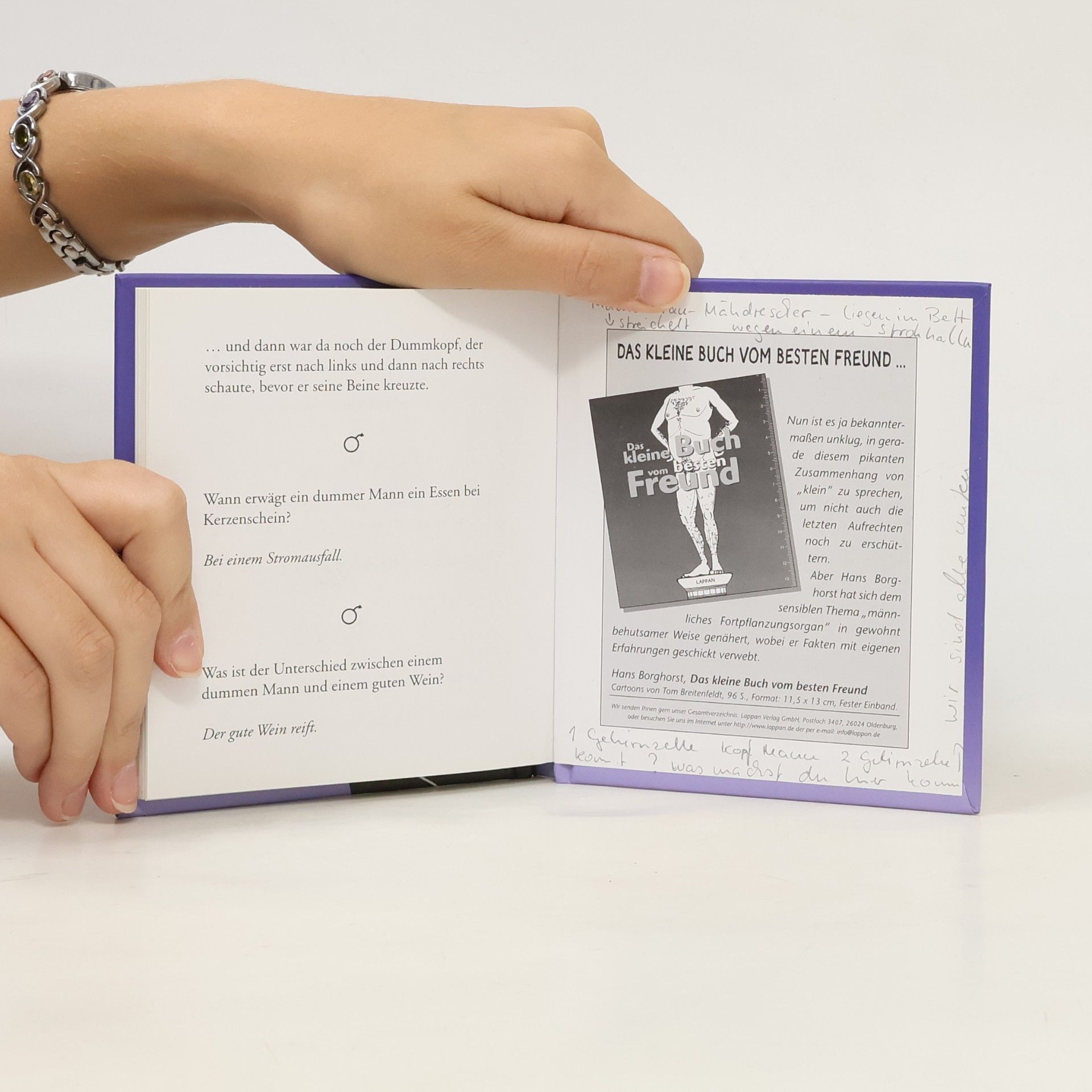 Hans Borghost Das kleine Buch vom dummen Mann