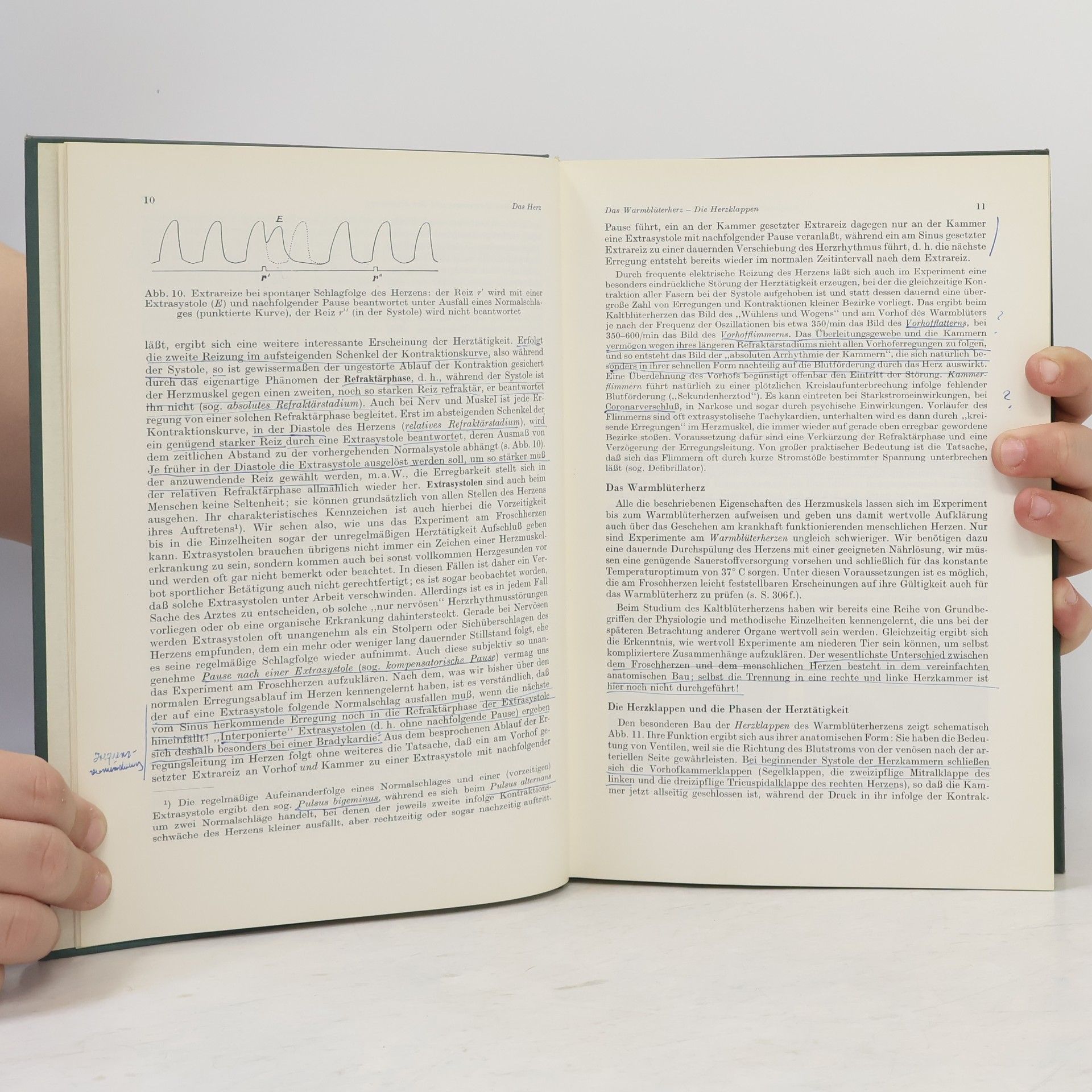 Erich Schütz Physiologie: Kurzgefasstes Lehrbuch für Studierende