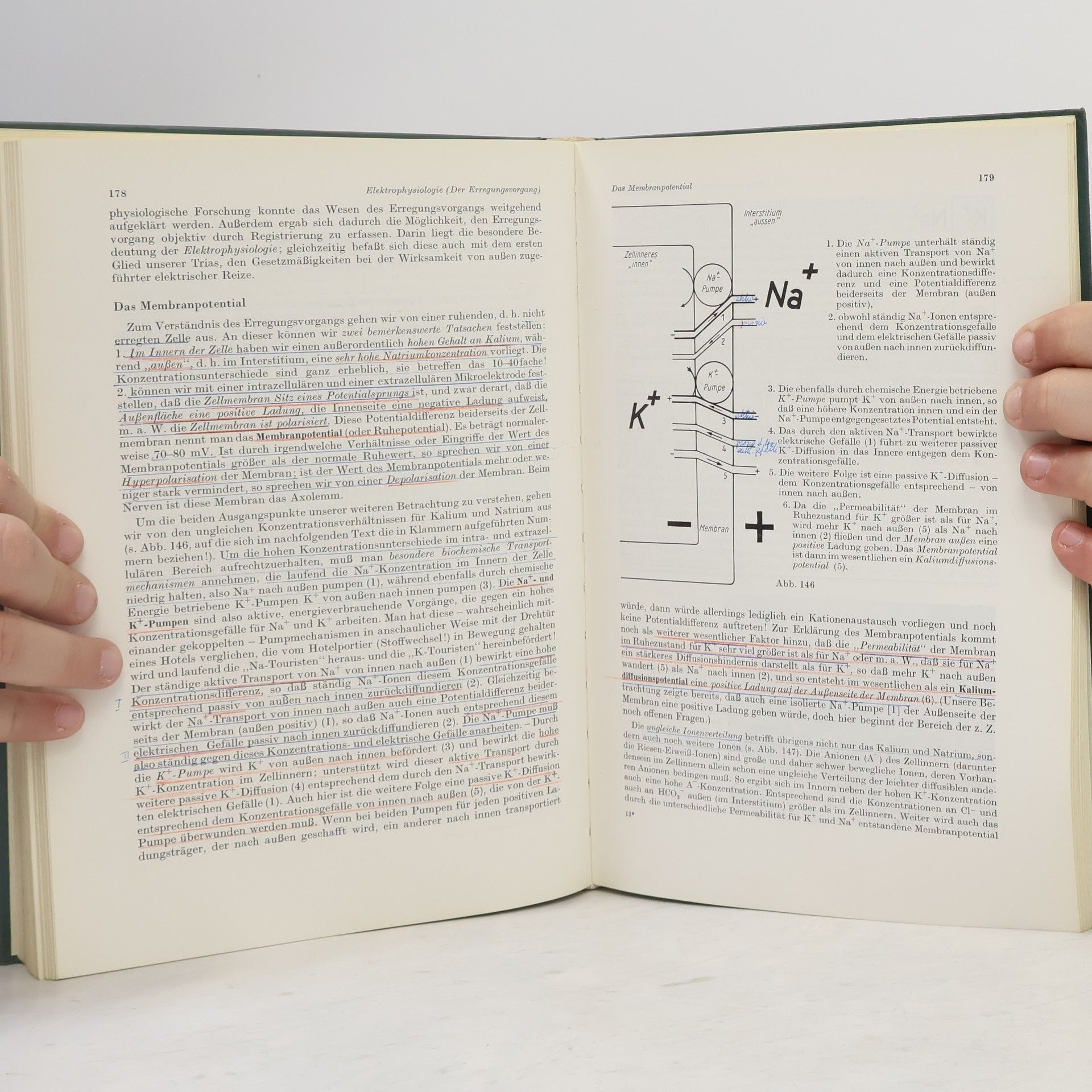 Erich Schütz Physiologie: Kurzgefasstes Lehrbuch für Studierende