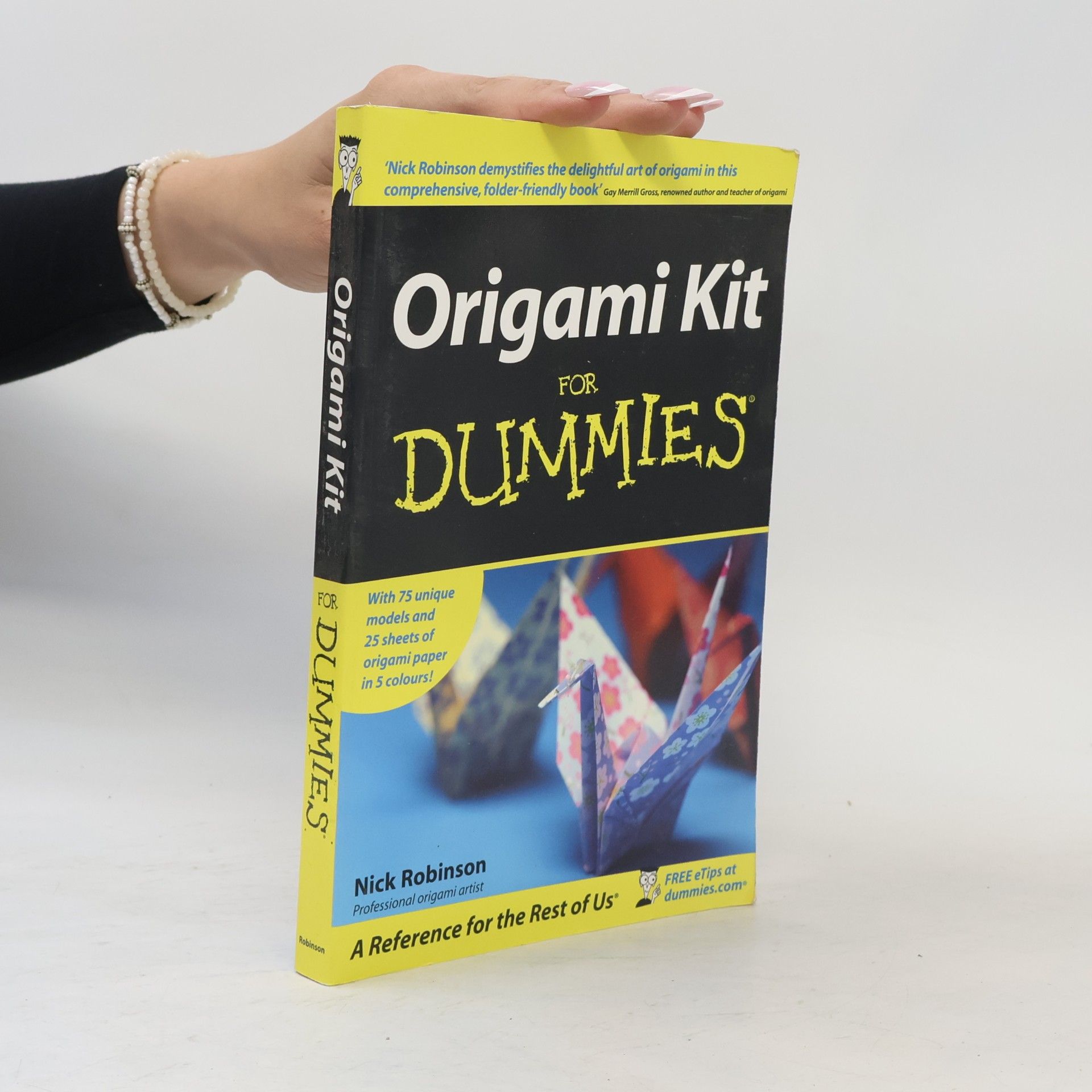 Nick N. Robinson Origami Kit For Dummies