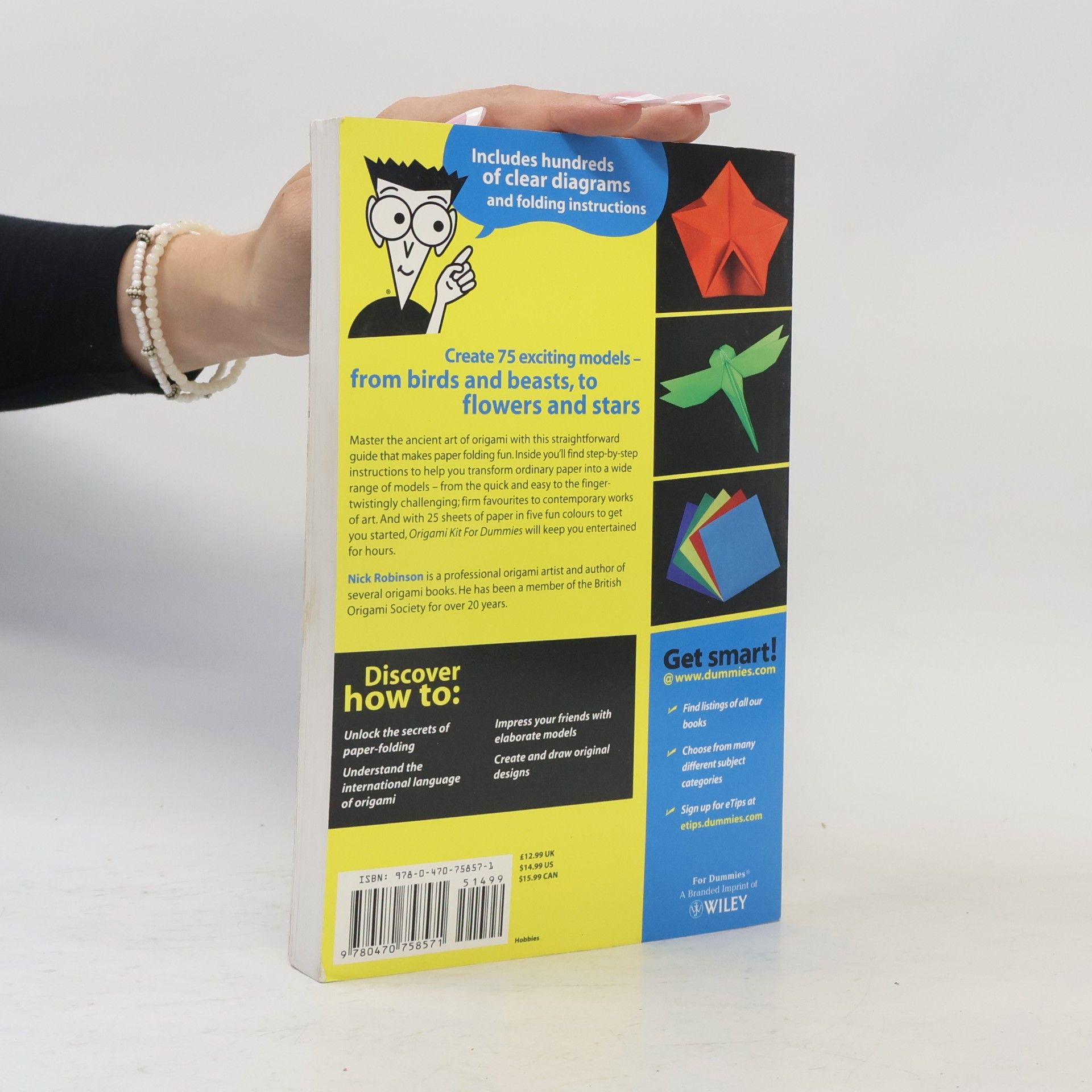 Nick N. Robinson Origami Kit For Dummies