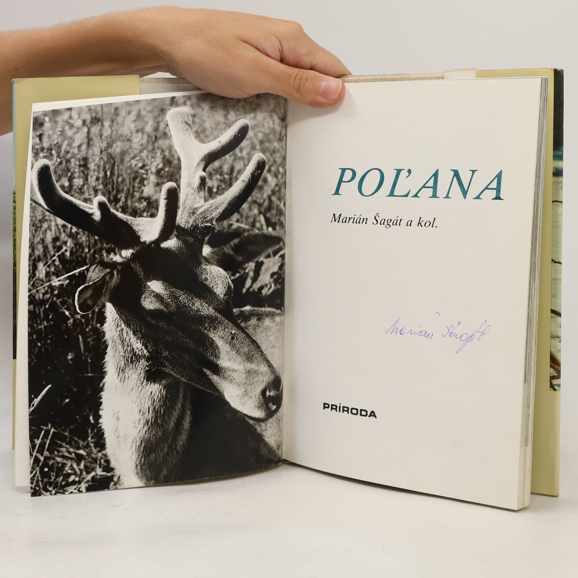 Marián Šagát Poľana