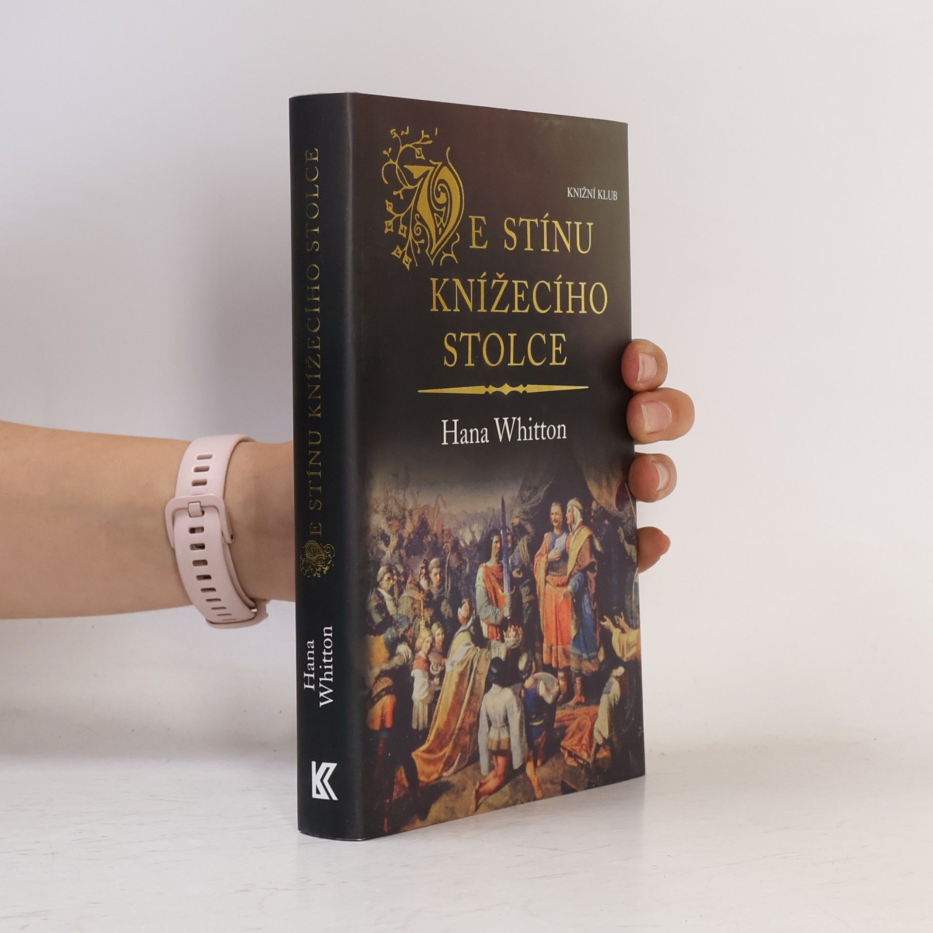 Ve stínu knížecího stolce