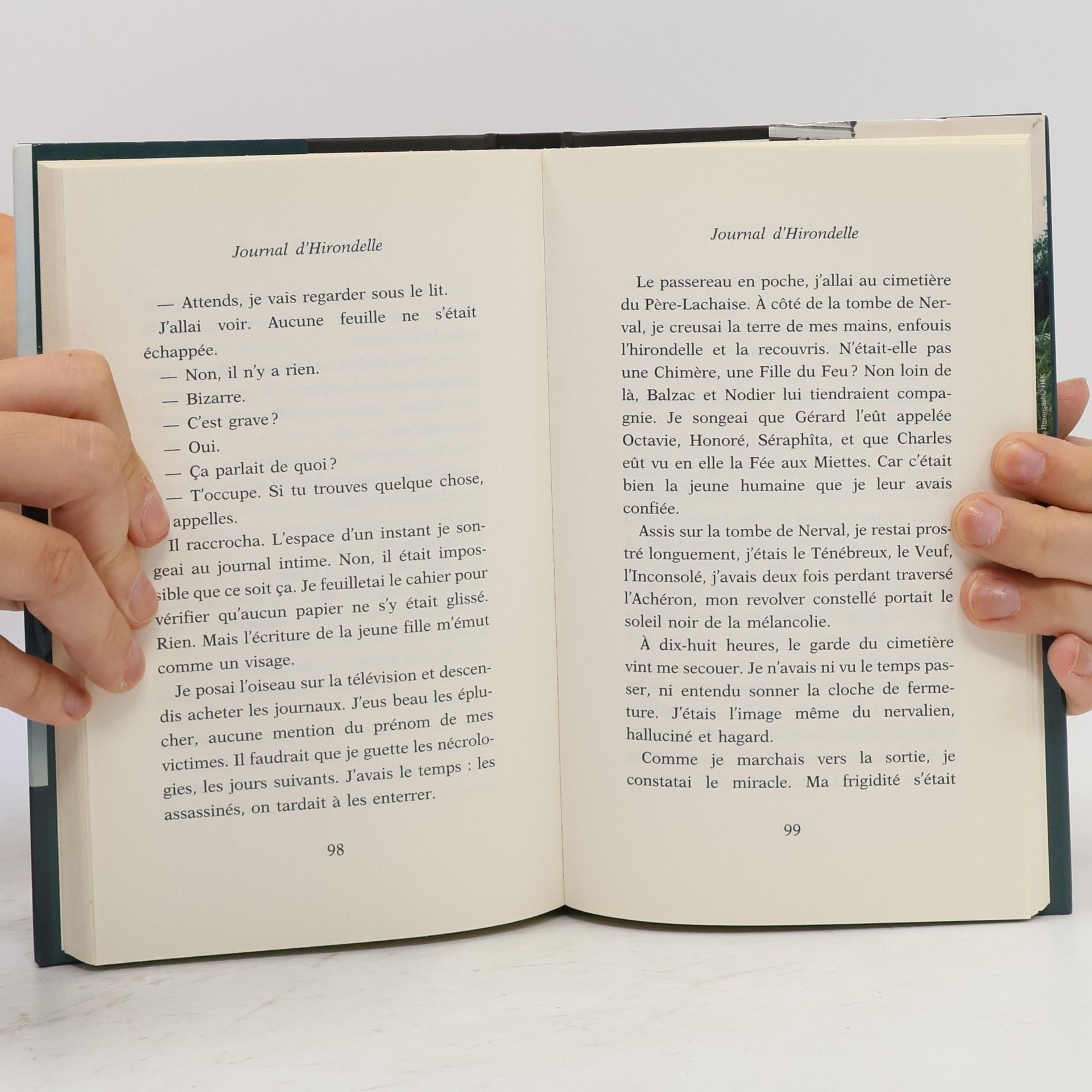 Amélie Nothomb Journal d'Hirondelle
