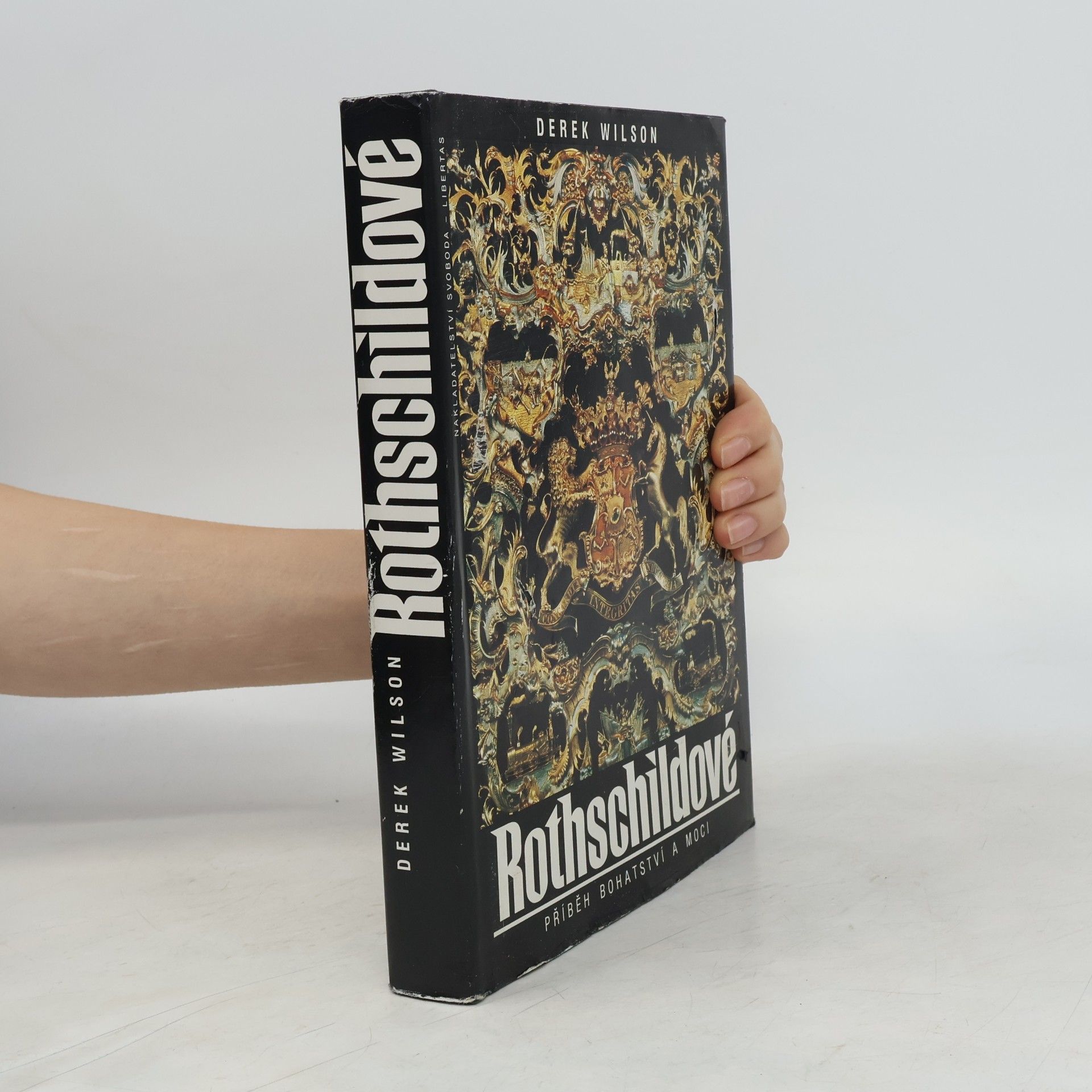 Derek Wilson Rothschildové. Příběh bohatství a moci