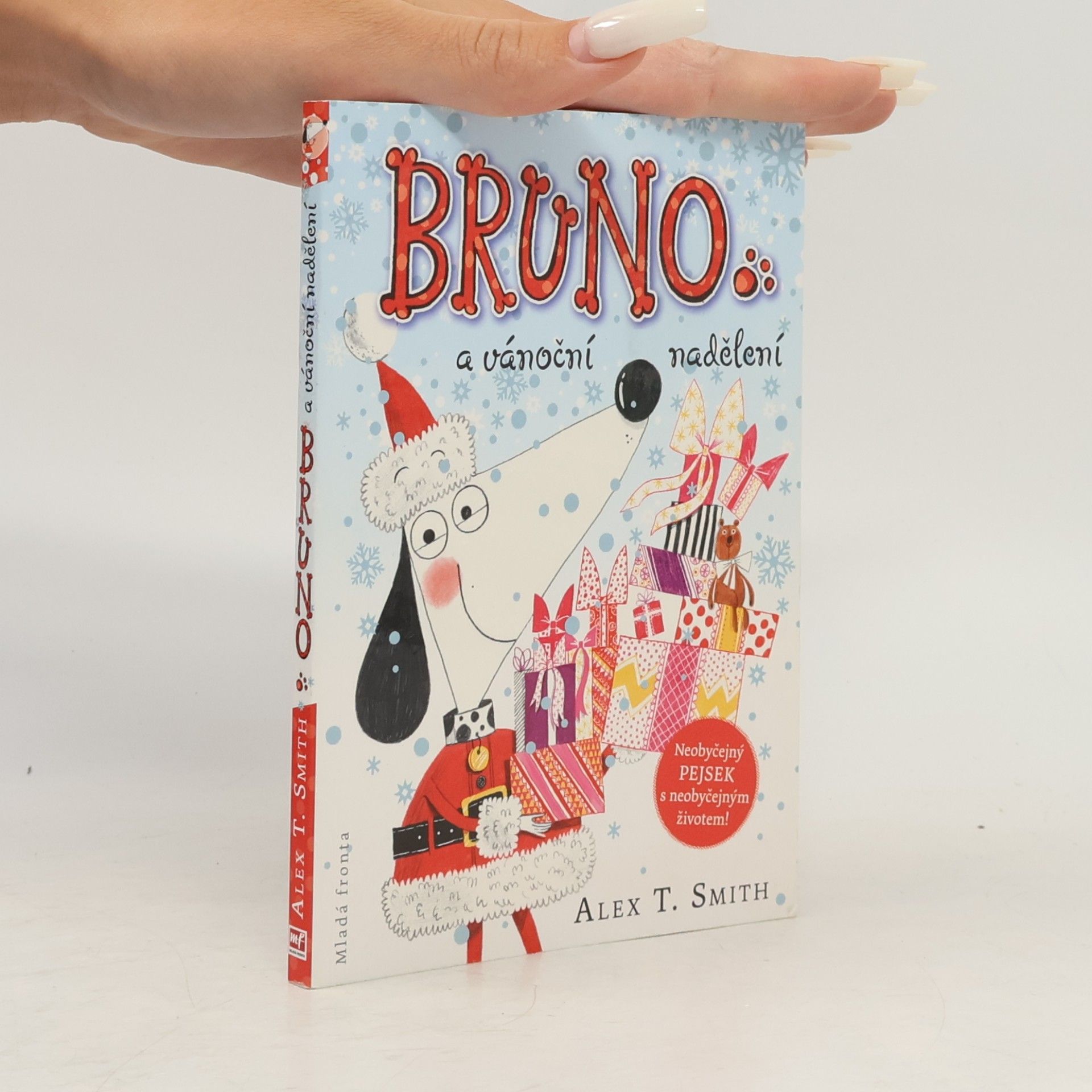 Alex T. Smith Bruno a vánoční nadělení