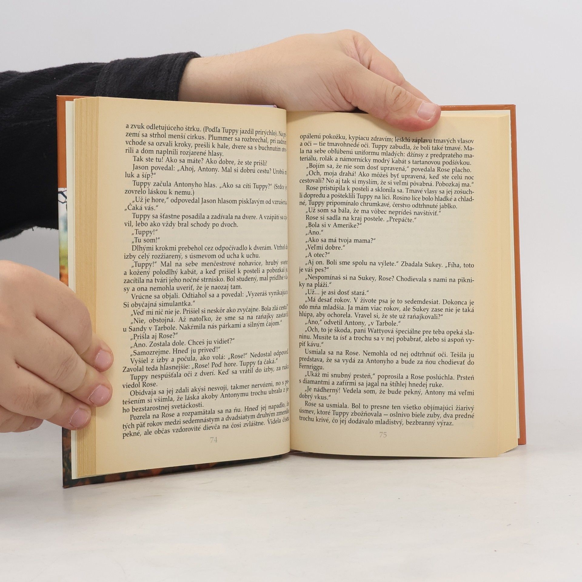 Rosamunde Pilcher Blíženci