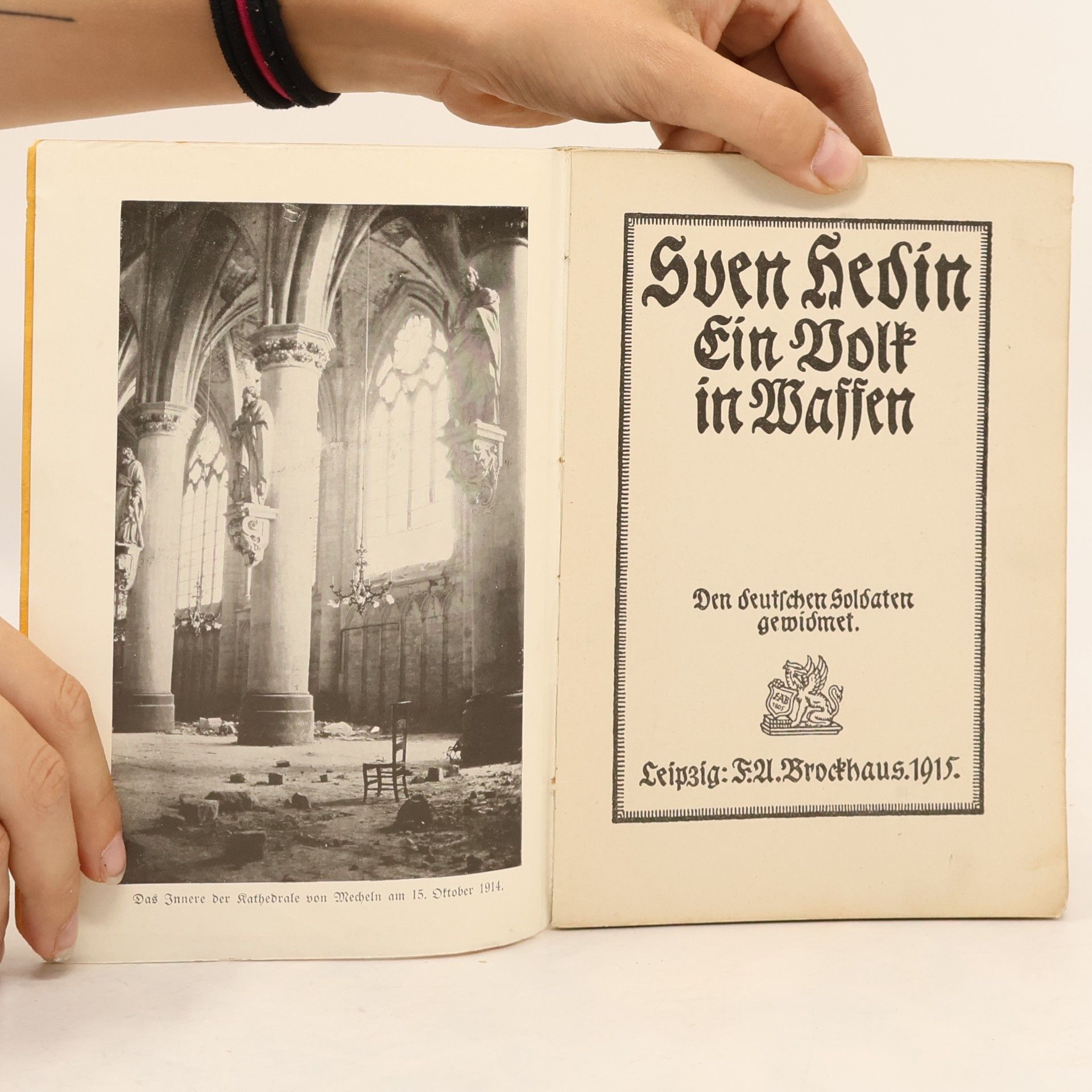 Sven Hedin Ein volk in waffen