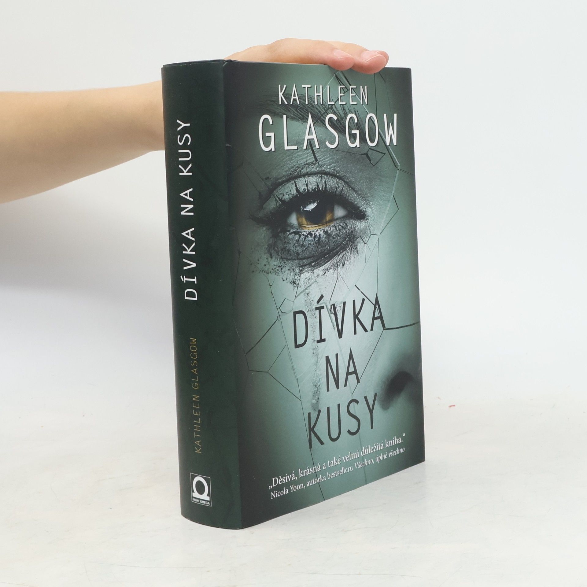 Kathleen Glasgow Dívka na kusy