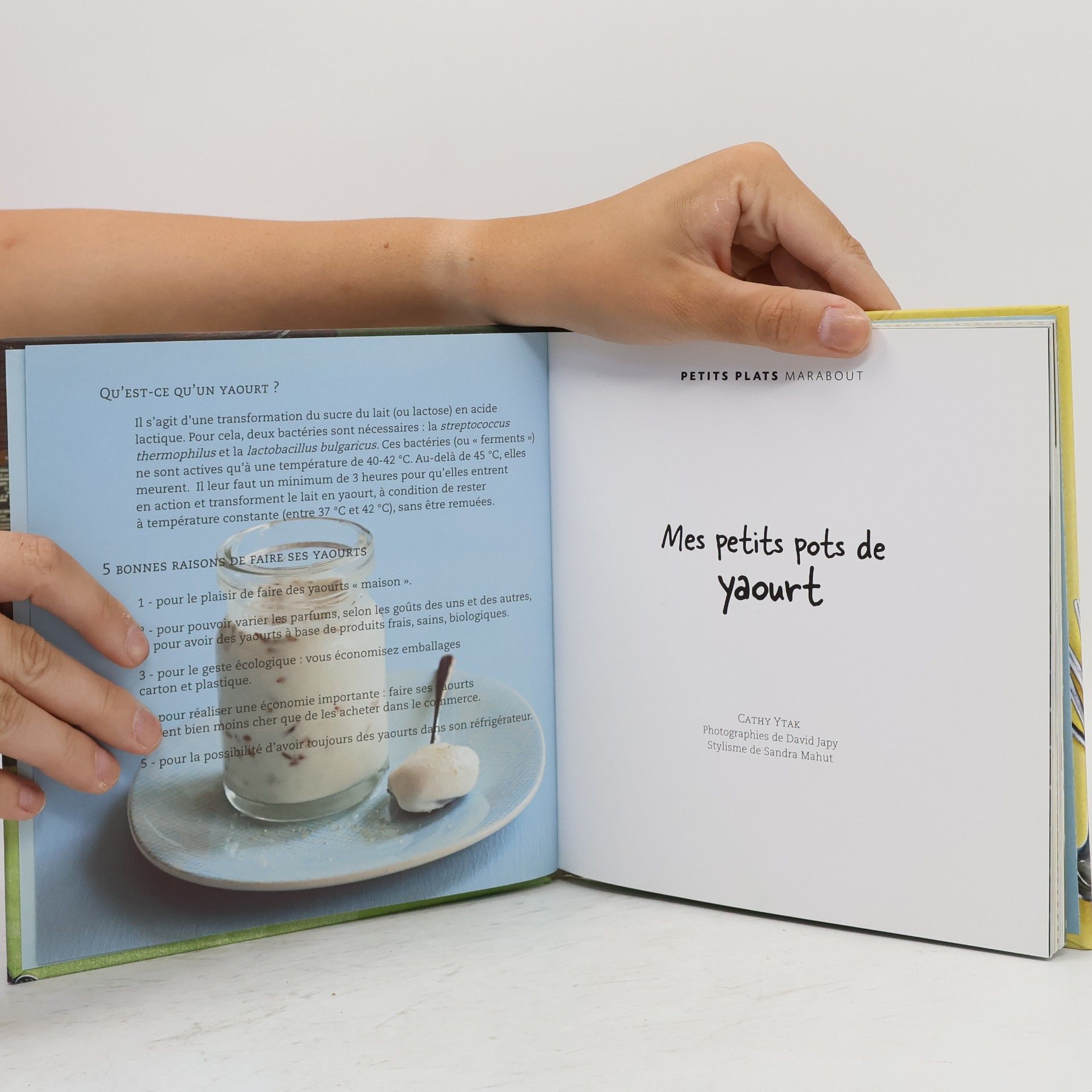Cathy Ytak Les Petits Plats: Mes petits pots de yaourt