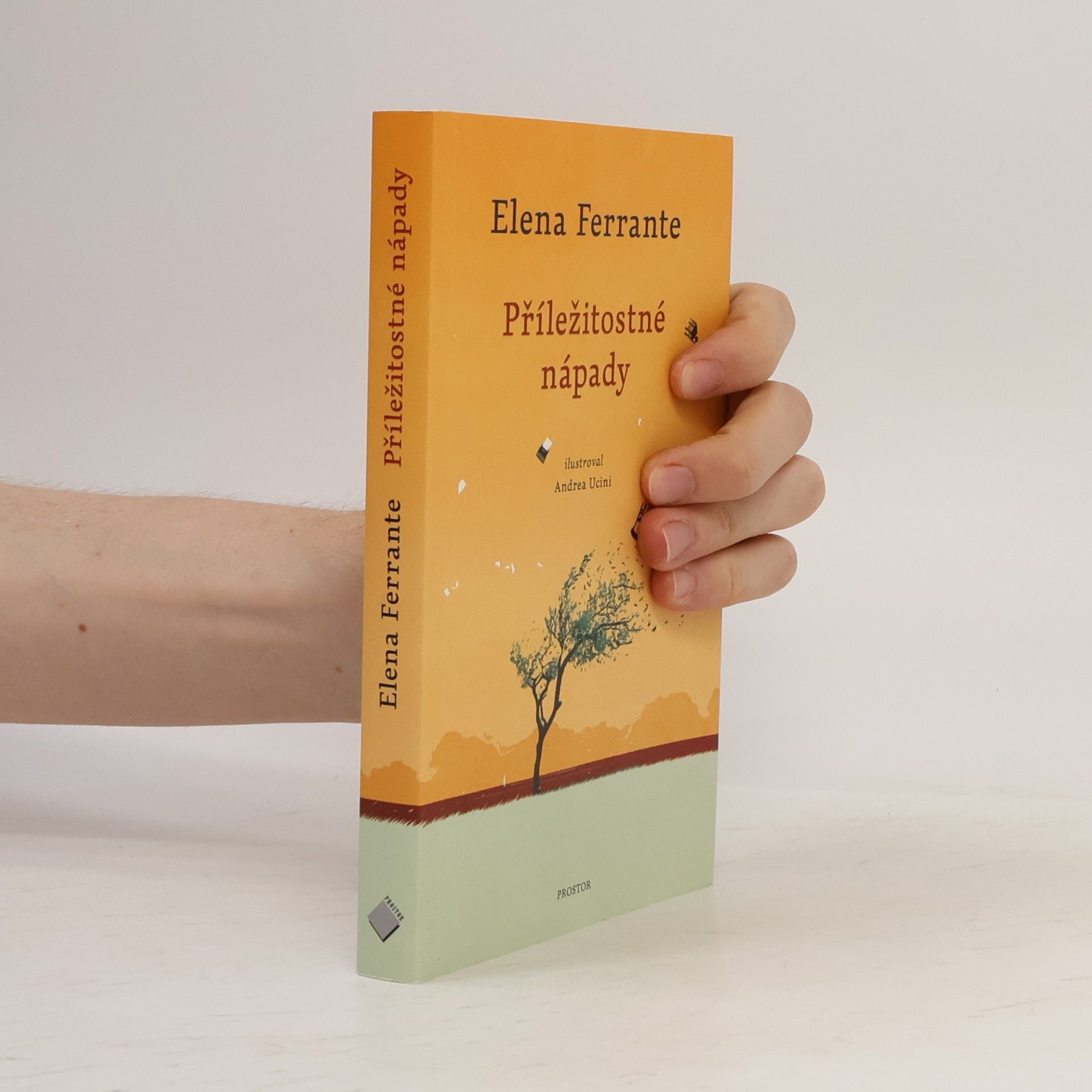 Elena Ferrante Příležitostné nápady