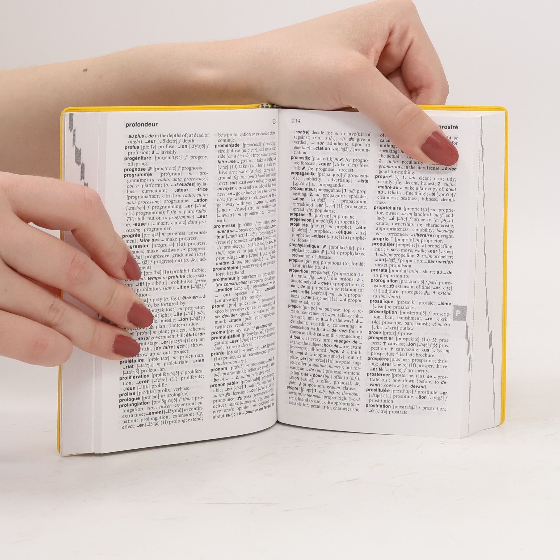 Langenscheidt's pocket French dictionary